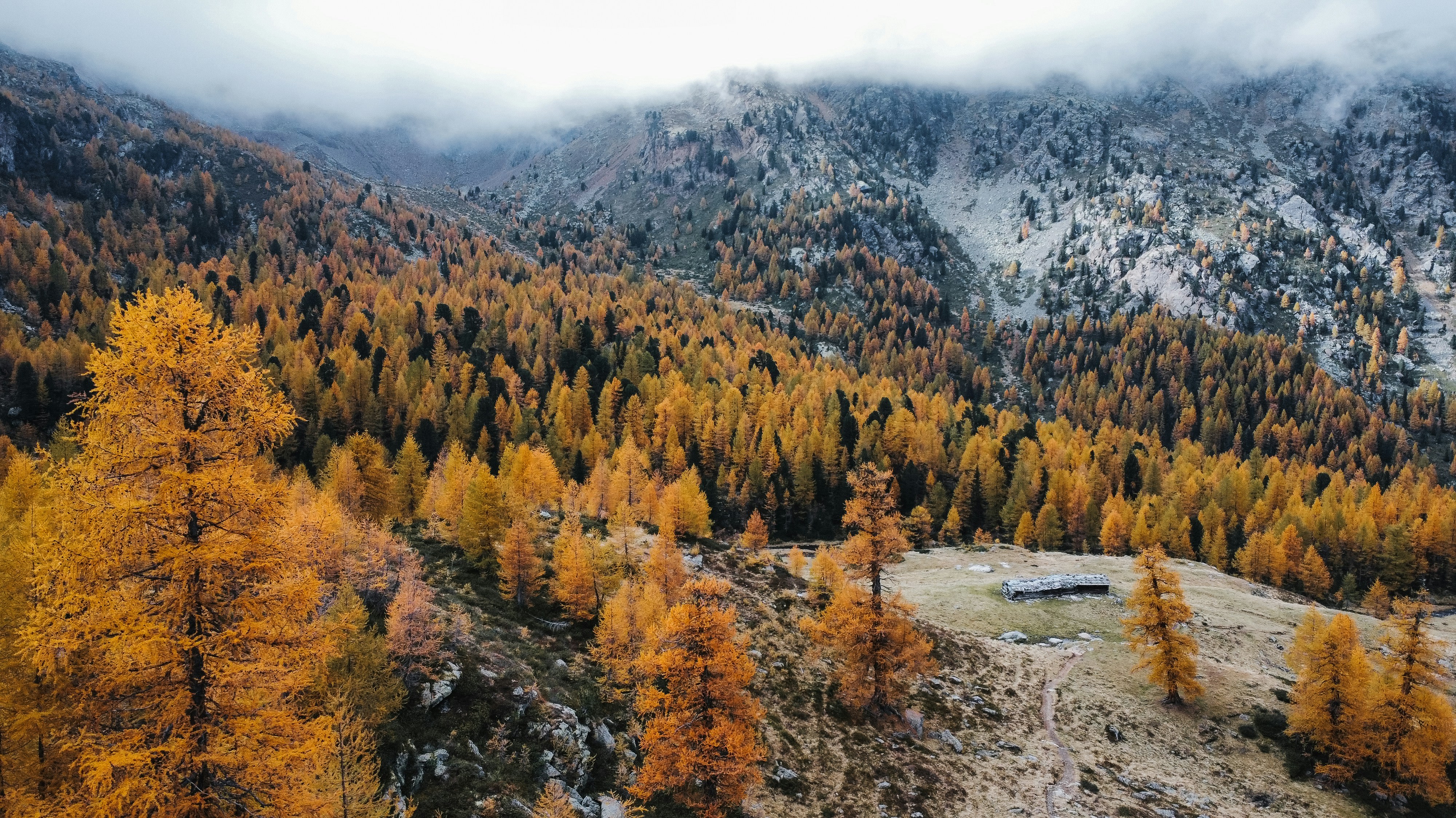 Photo by enchponnt