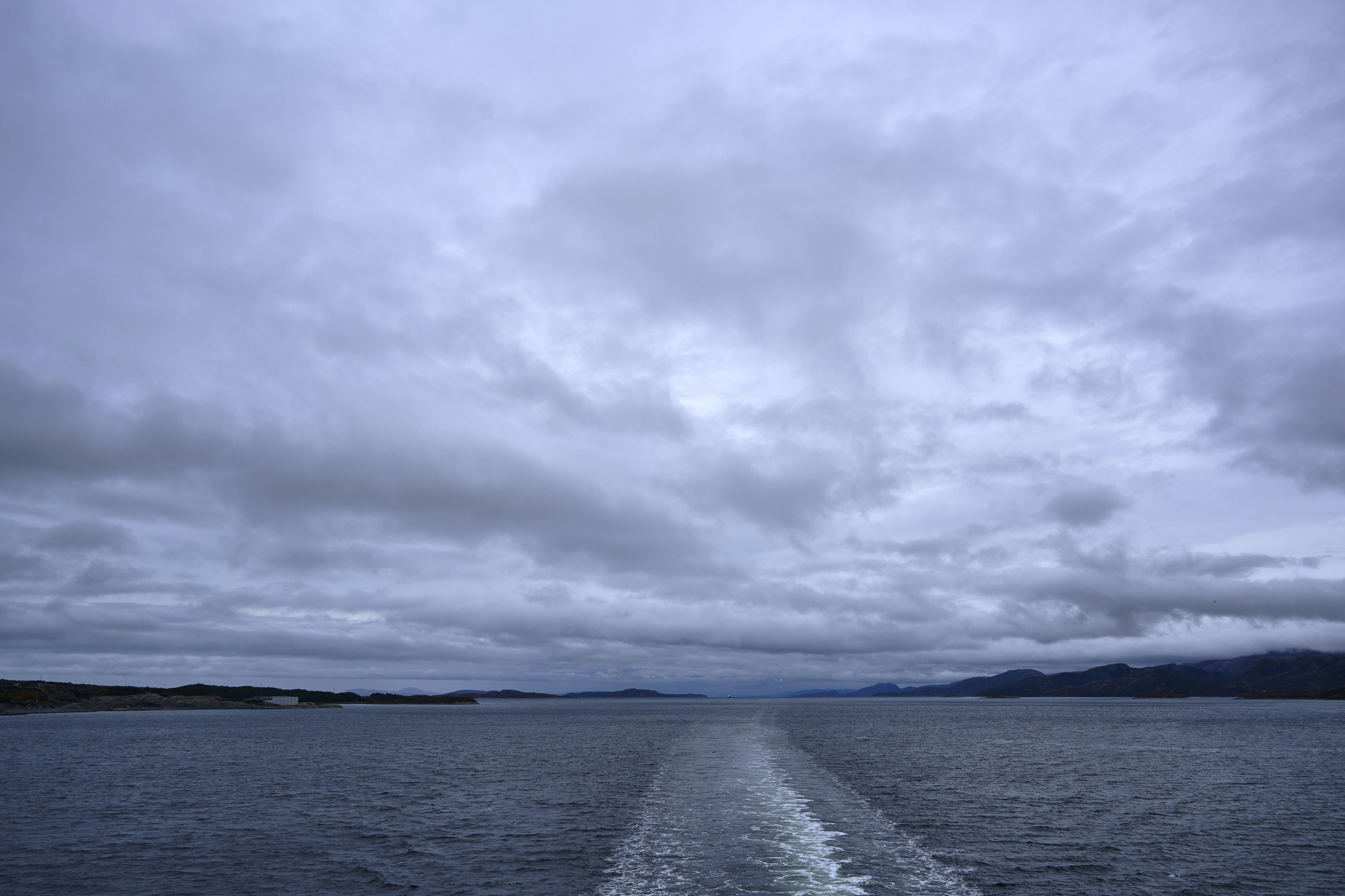 Photo by wolfgang_hasselmann