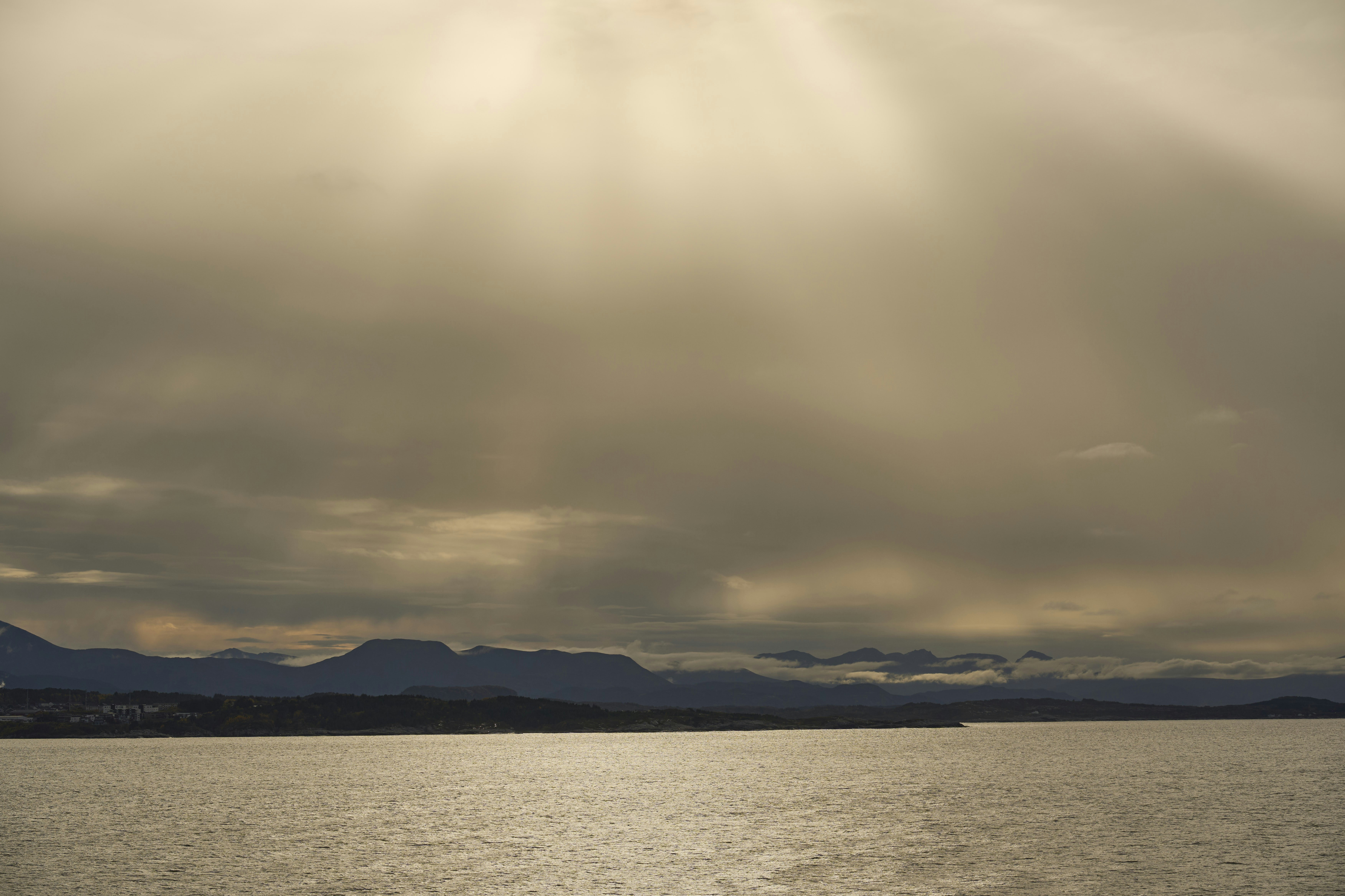 Photo by wolfgang_hasselmann