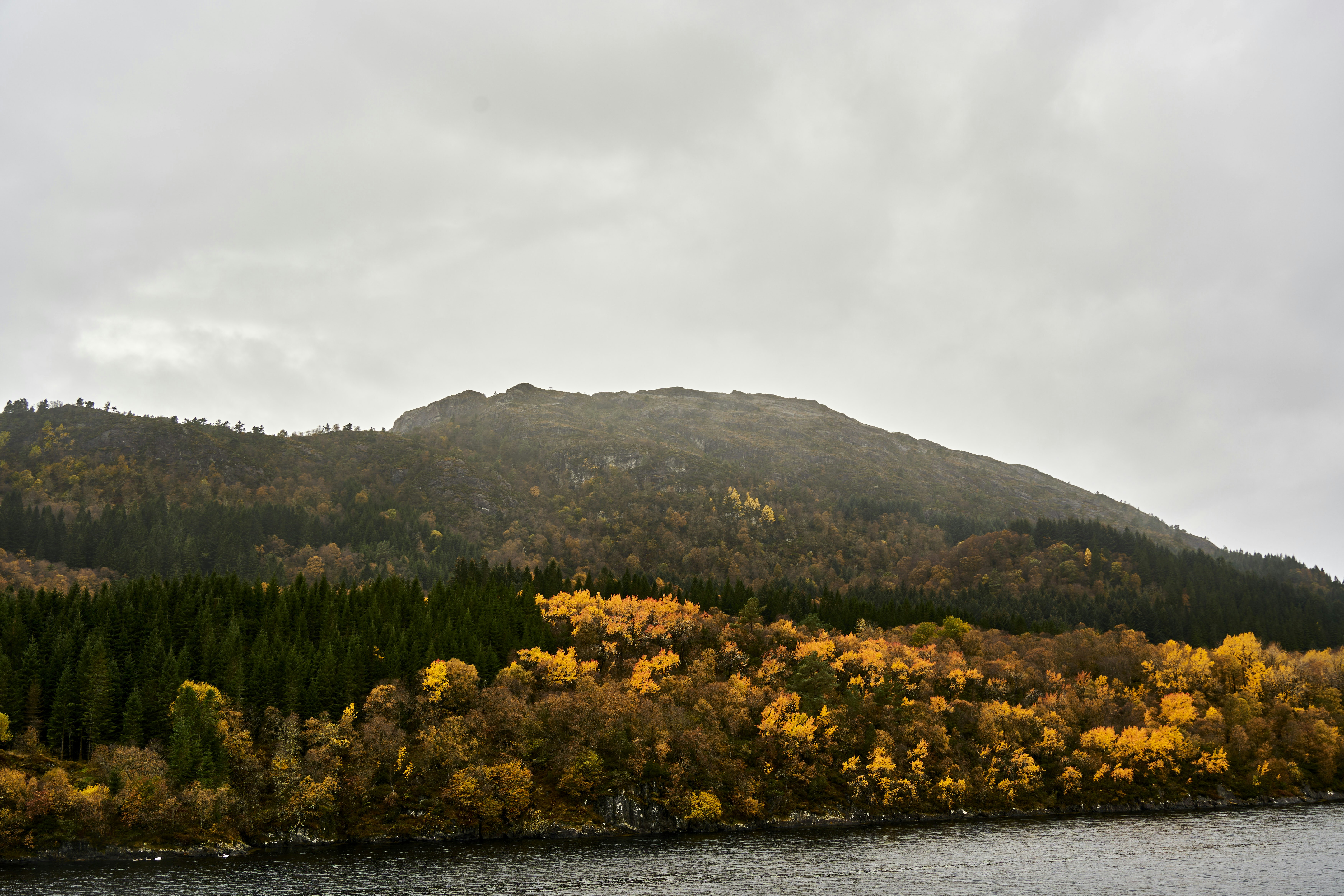 Photo by wolfgang_hasselmann