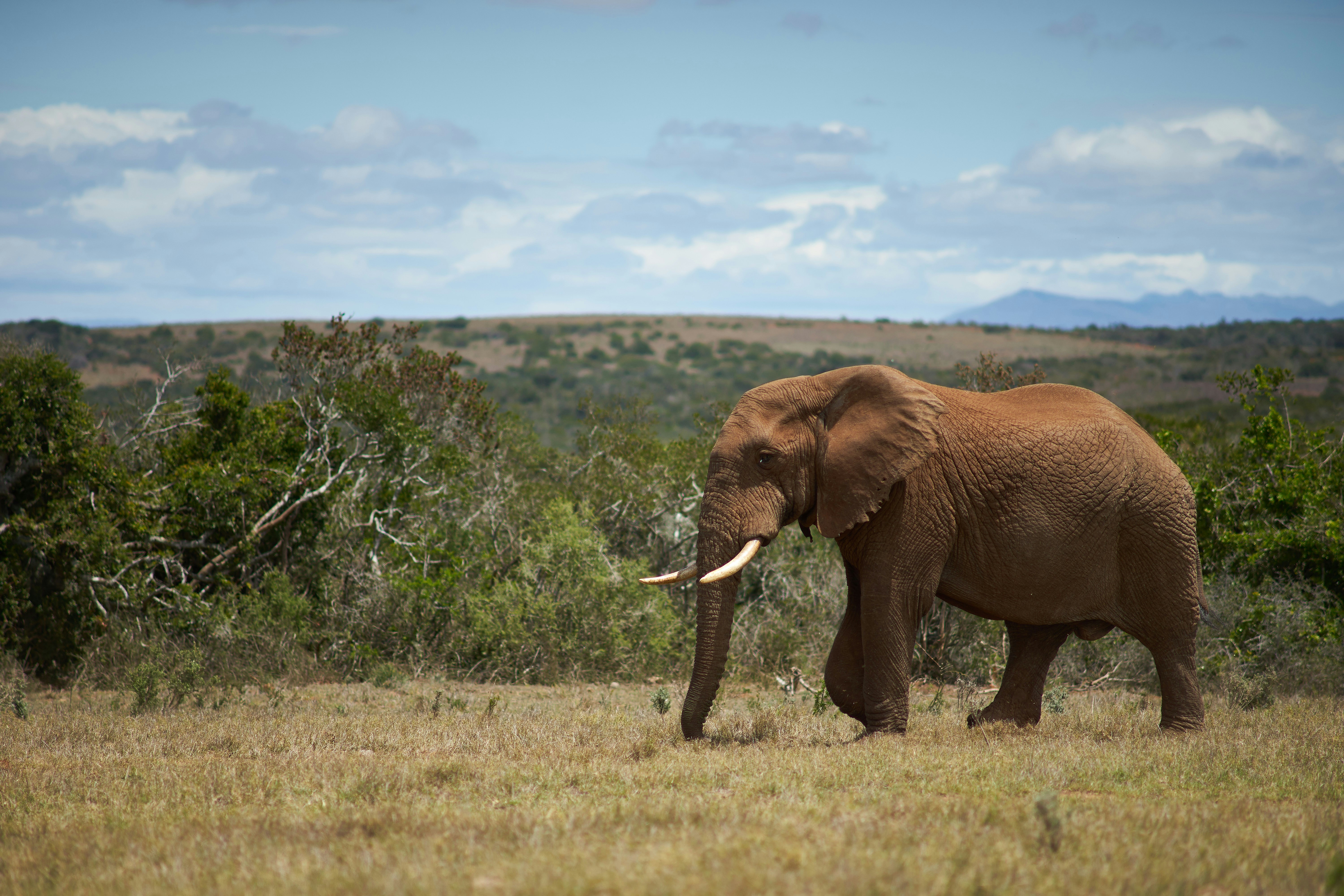 Photo by wolfgang_hasselmann