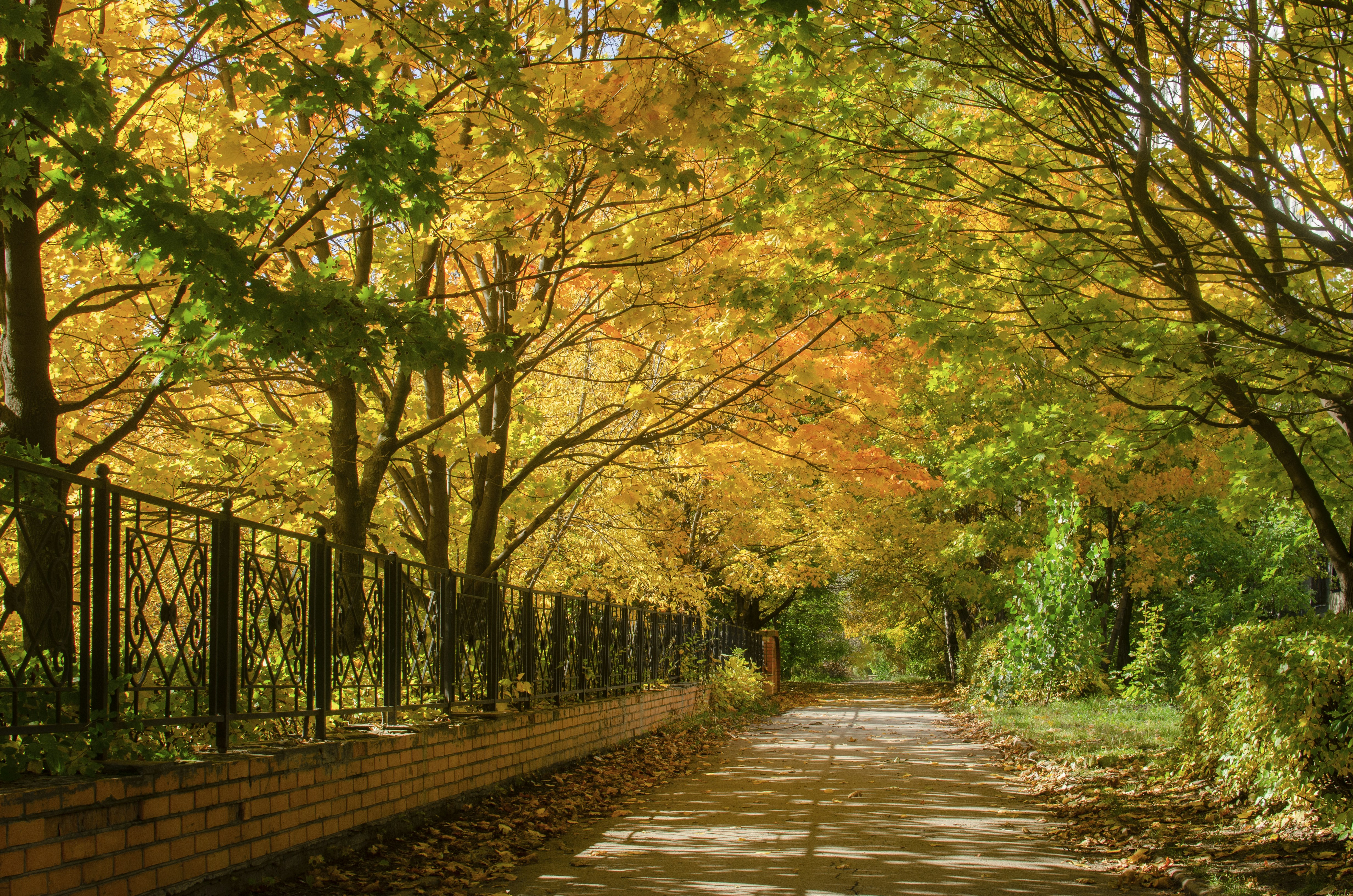 Photo by andrilliardbond