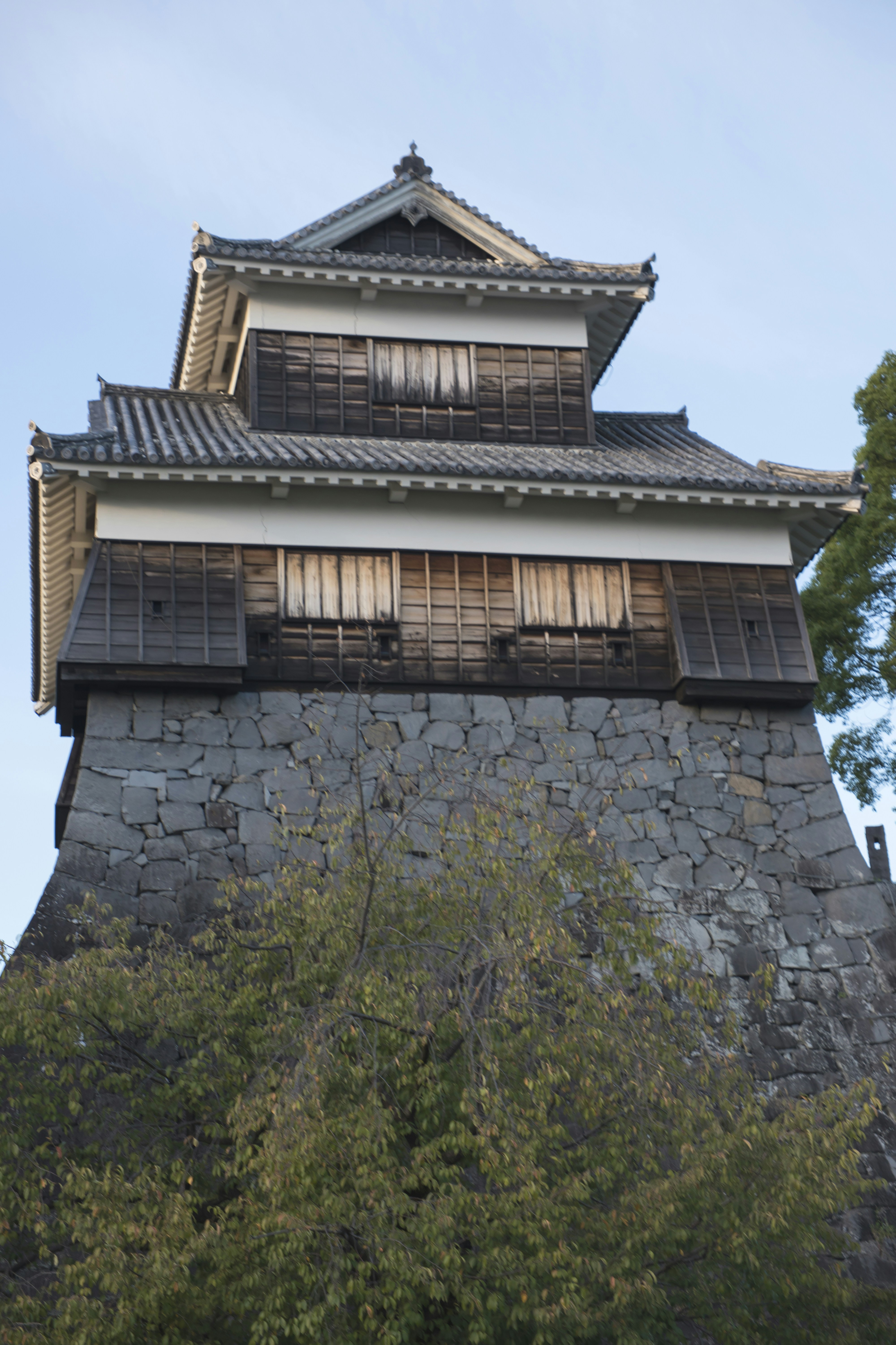 Photo by floatflower