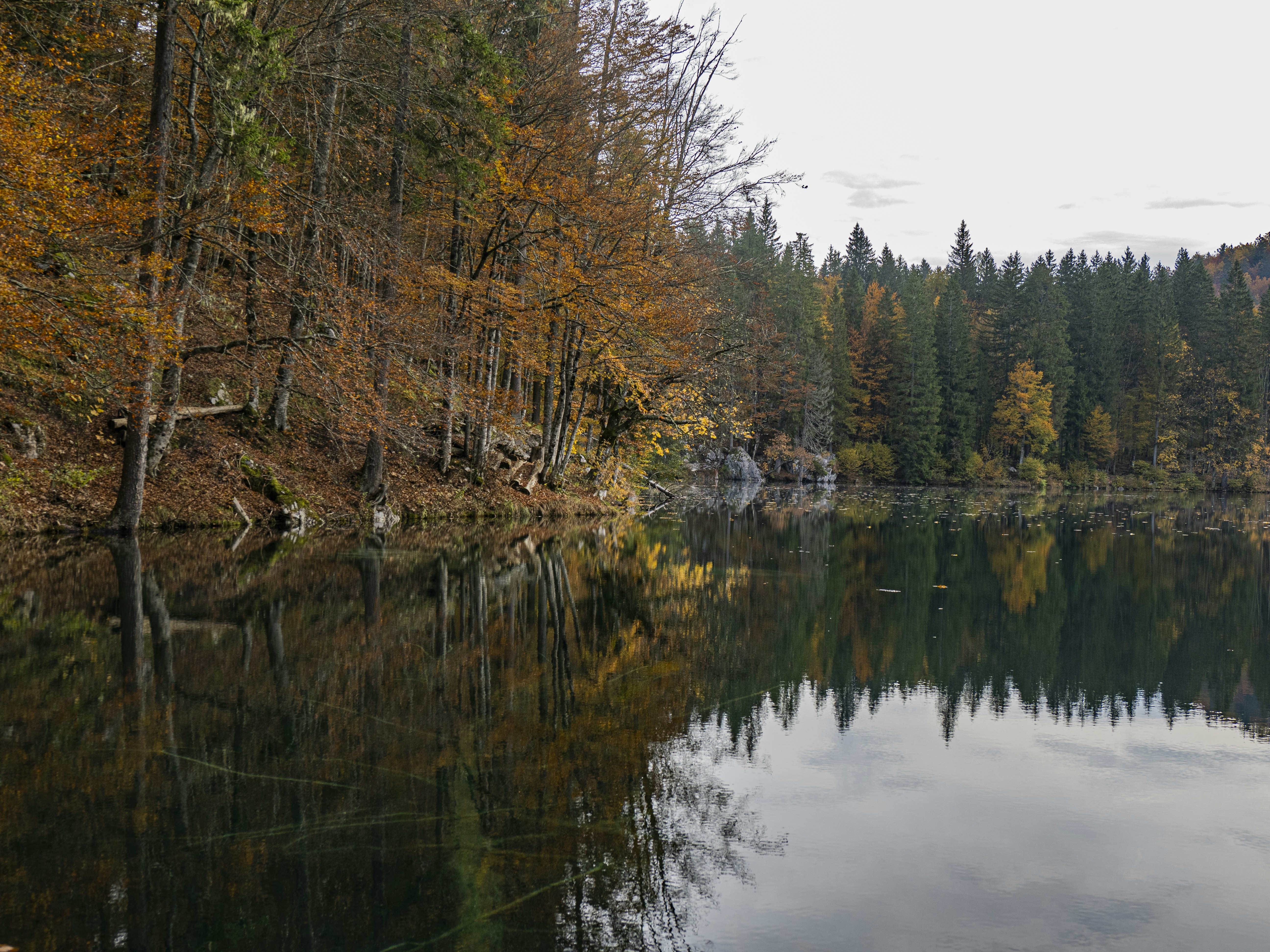 Photo by gopitri_prem