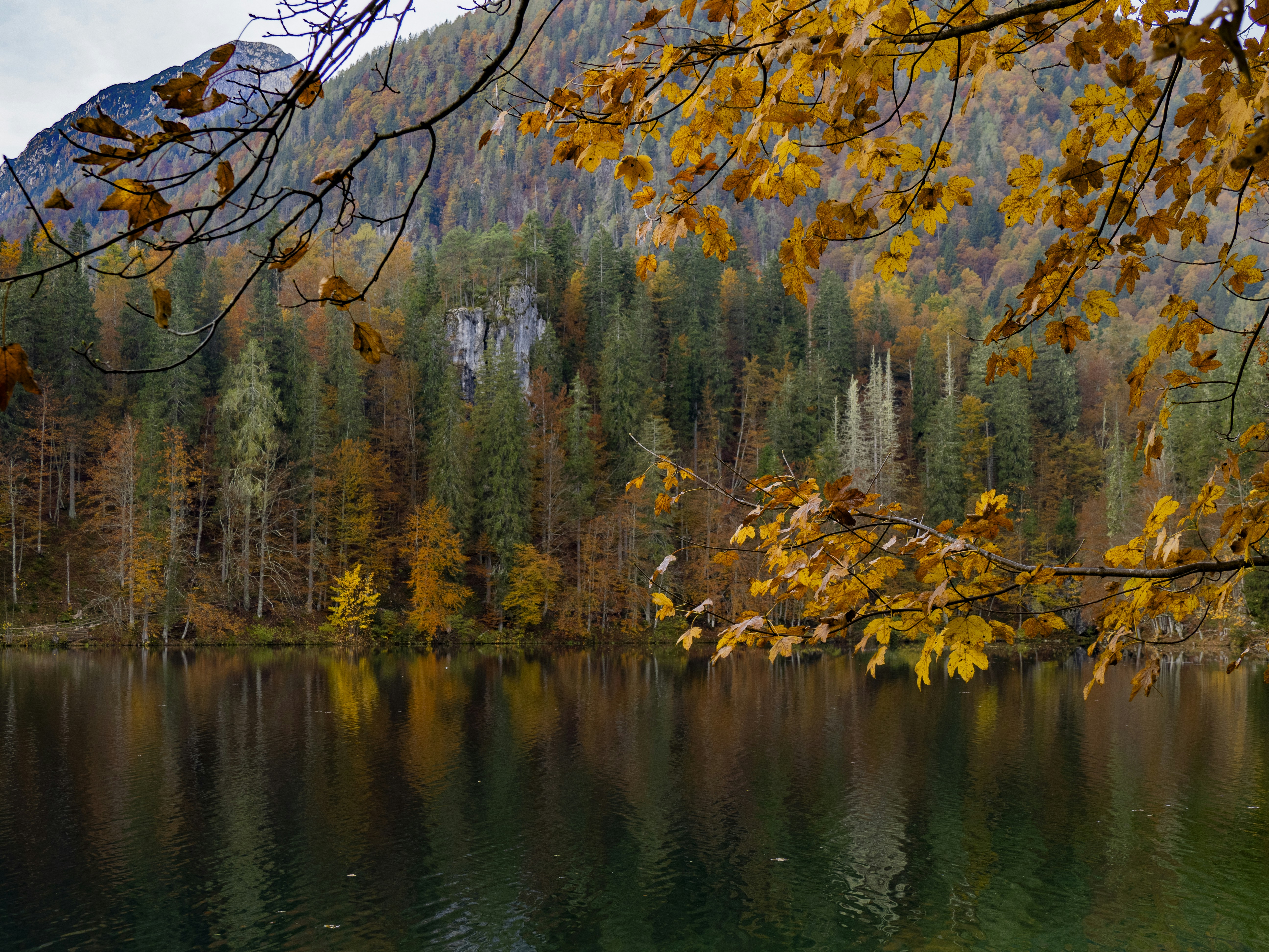 Photo by gopitri_prem