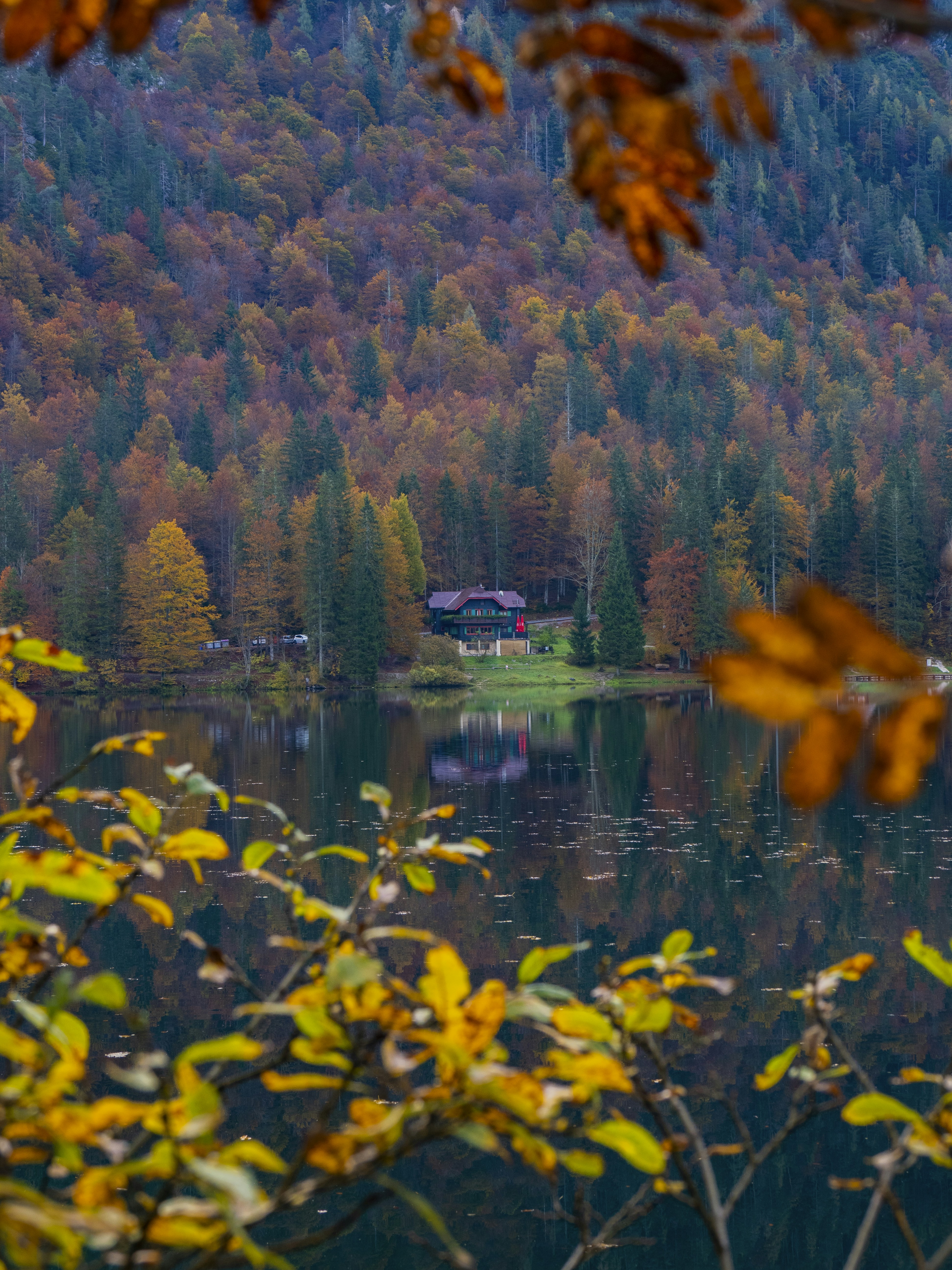 Photo by gopitri_prem