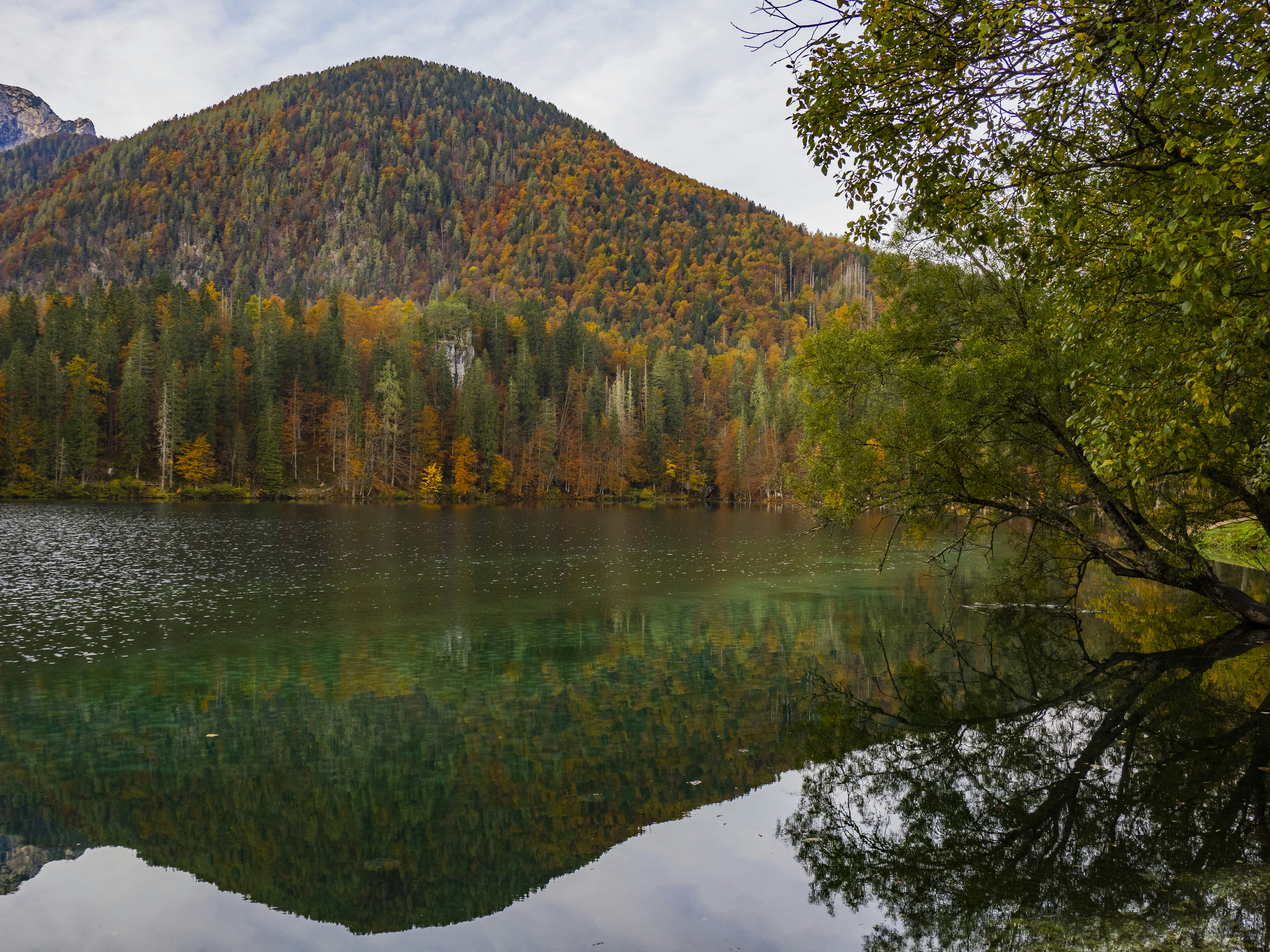 Photo by gopitri_prem