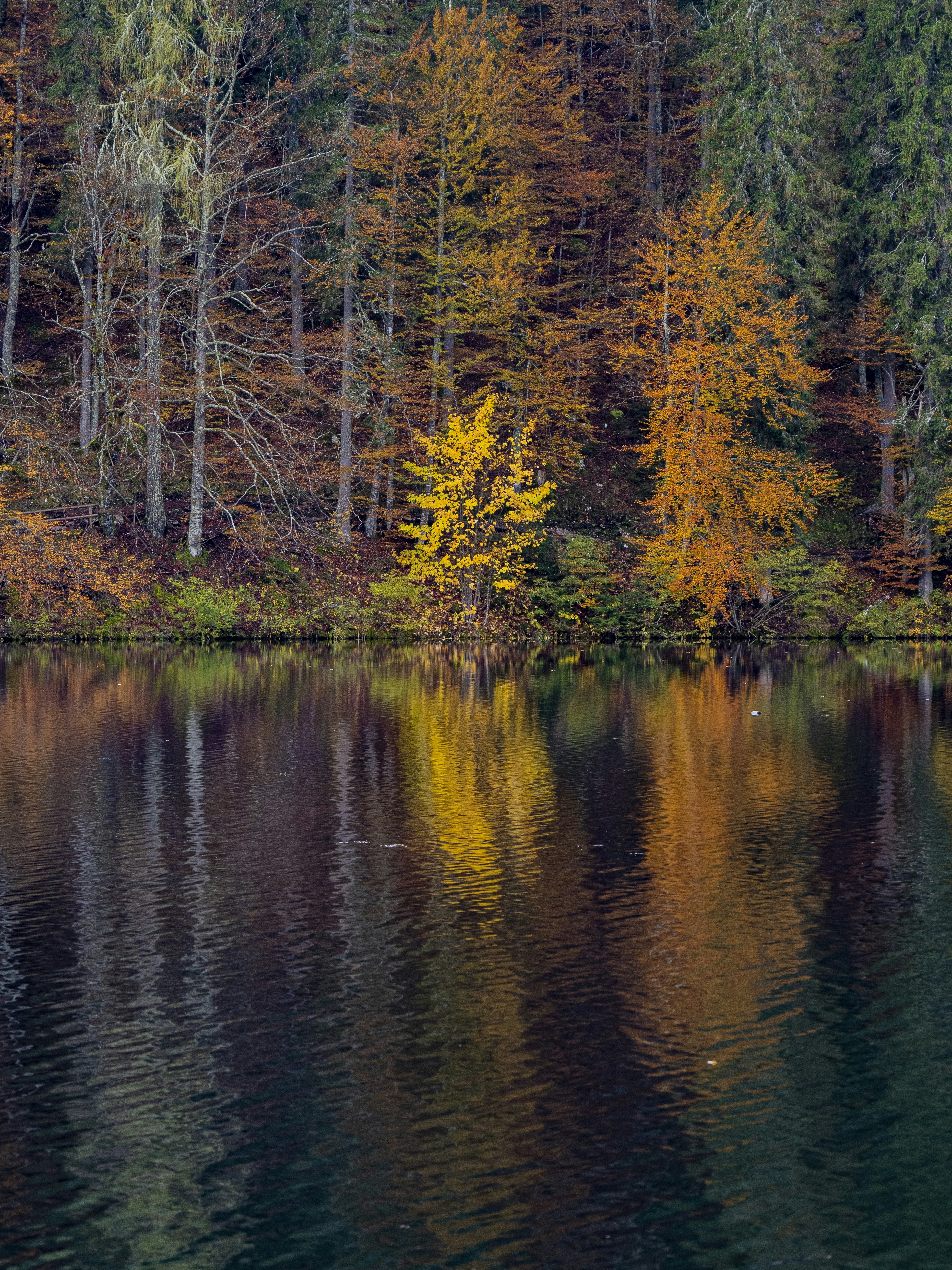 Photo by gopitri_prem