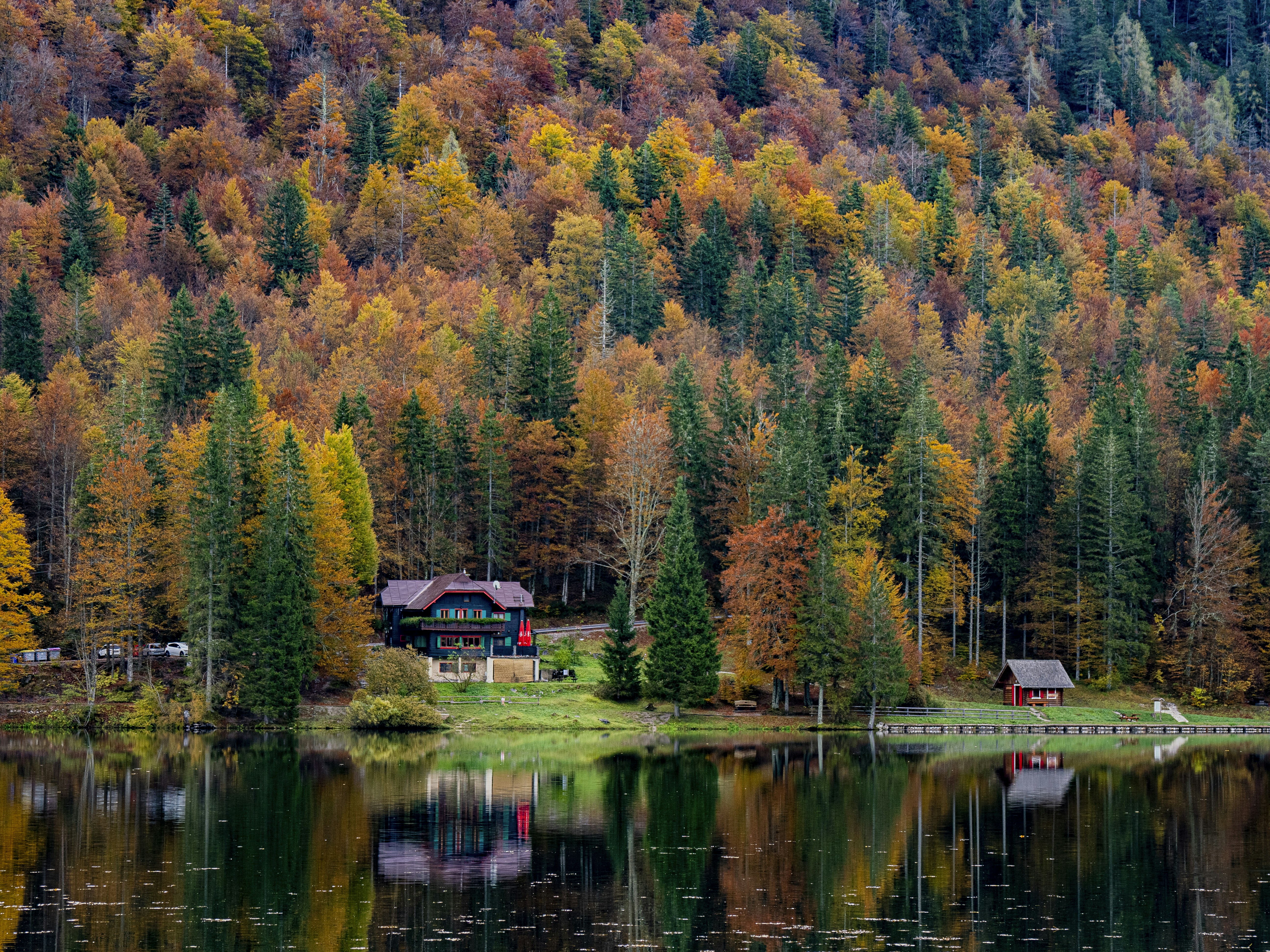 Photo by gopitri_prem