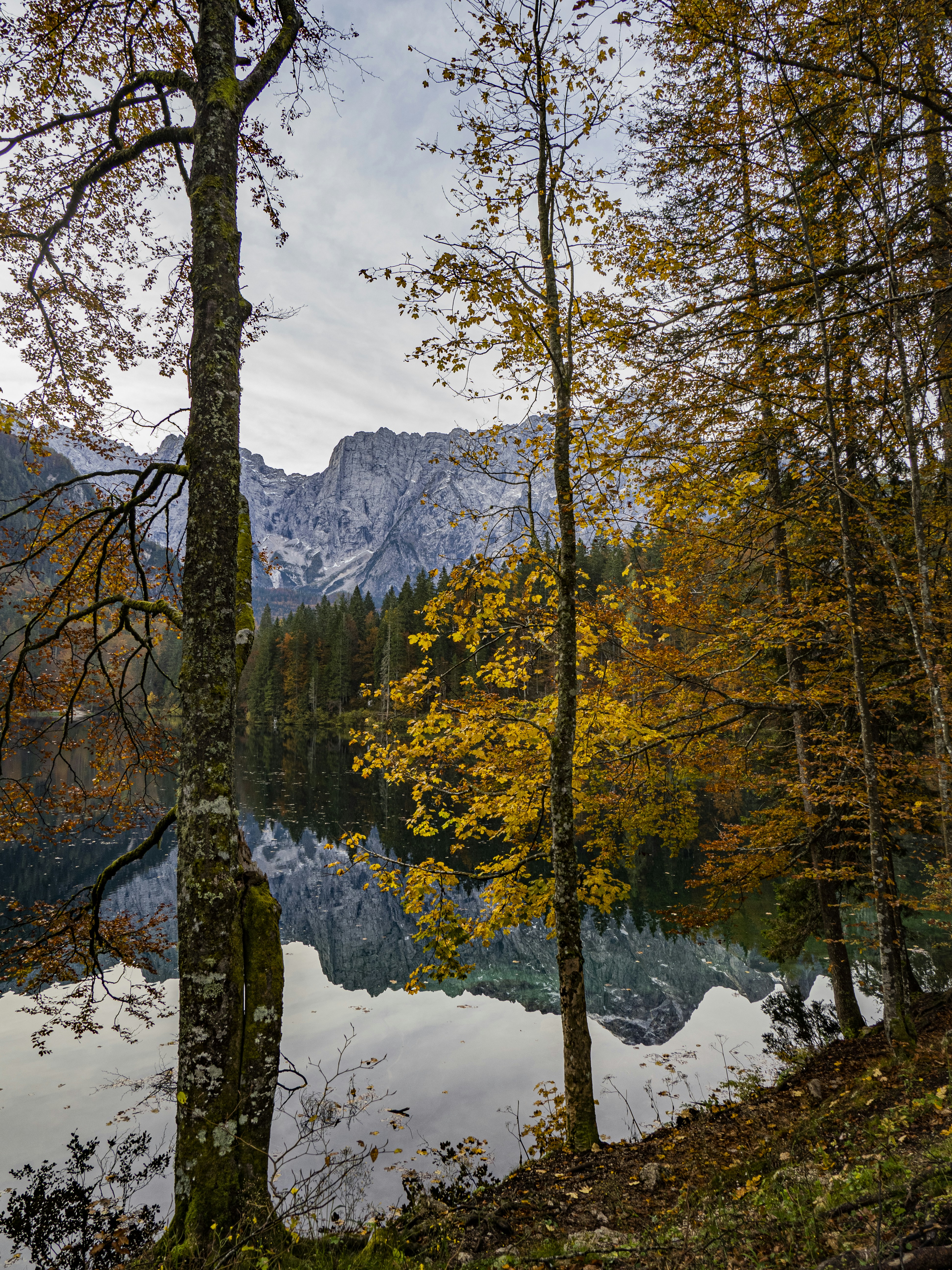 Photo by gopitri_prem