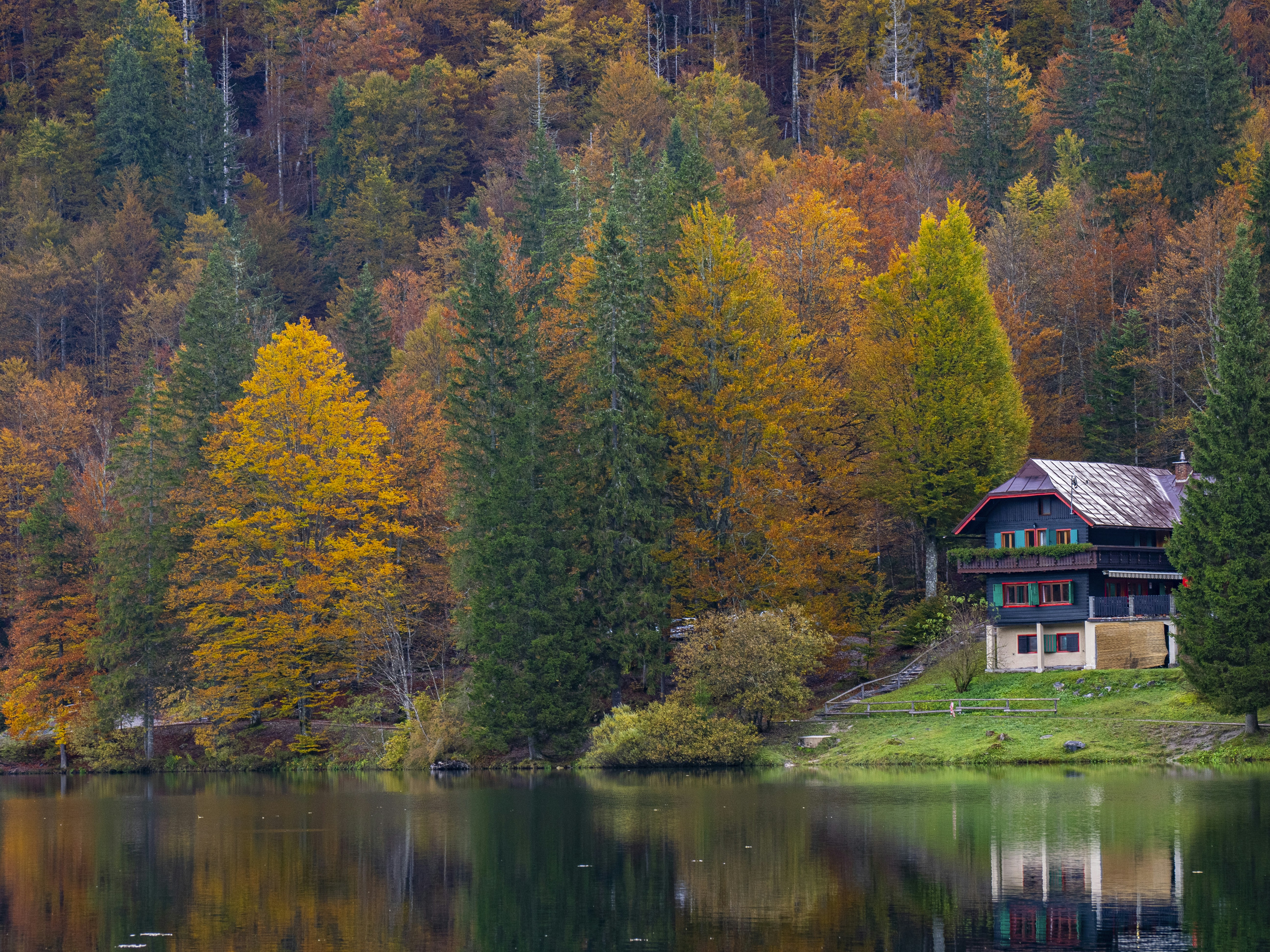 Photo by gopitri_prem