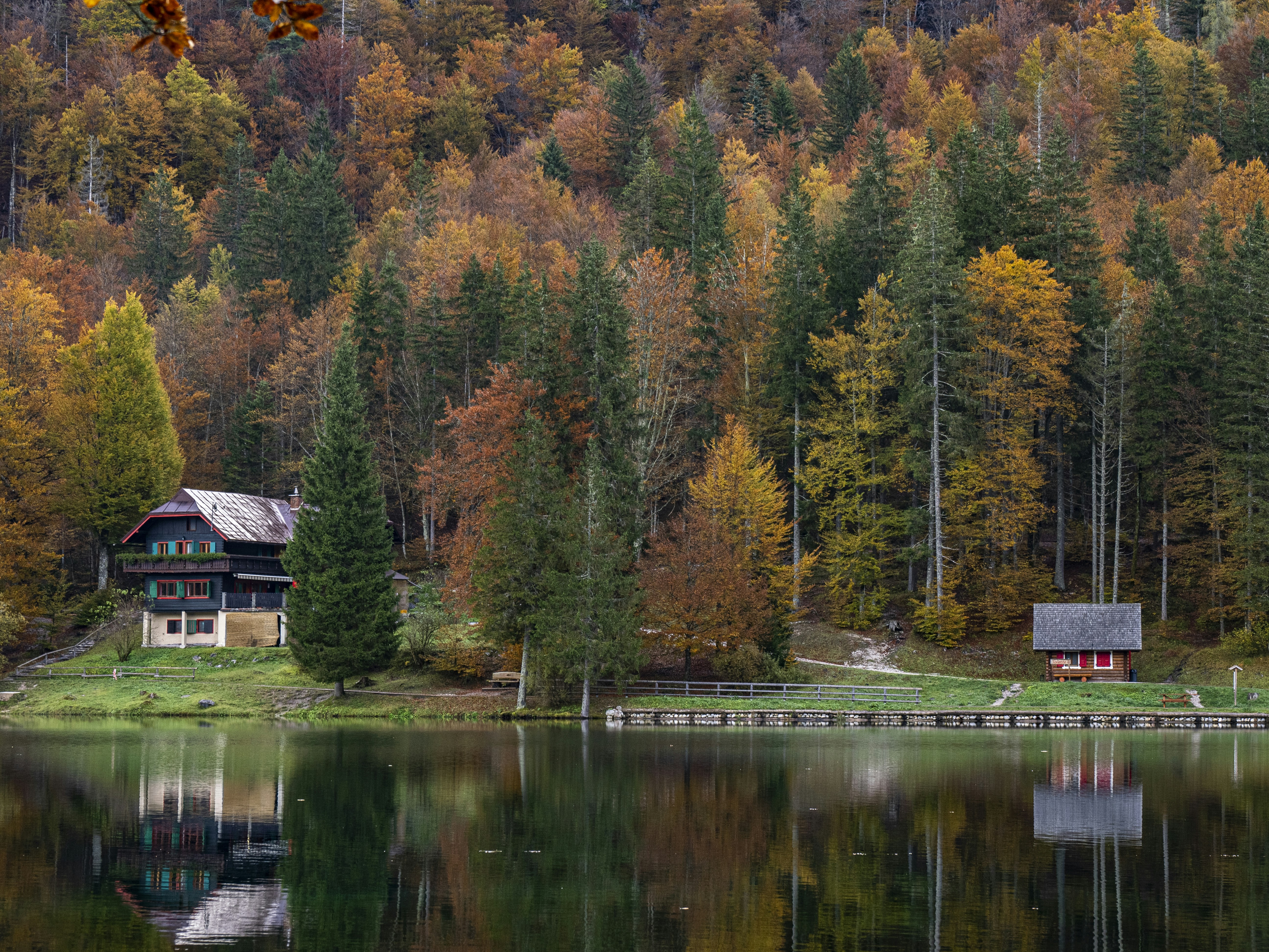 Photo by gopitri_prem