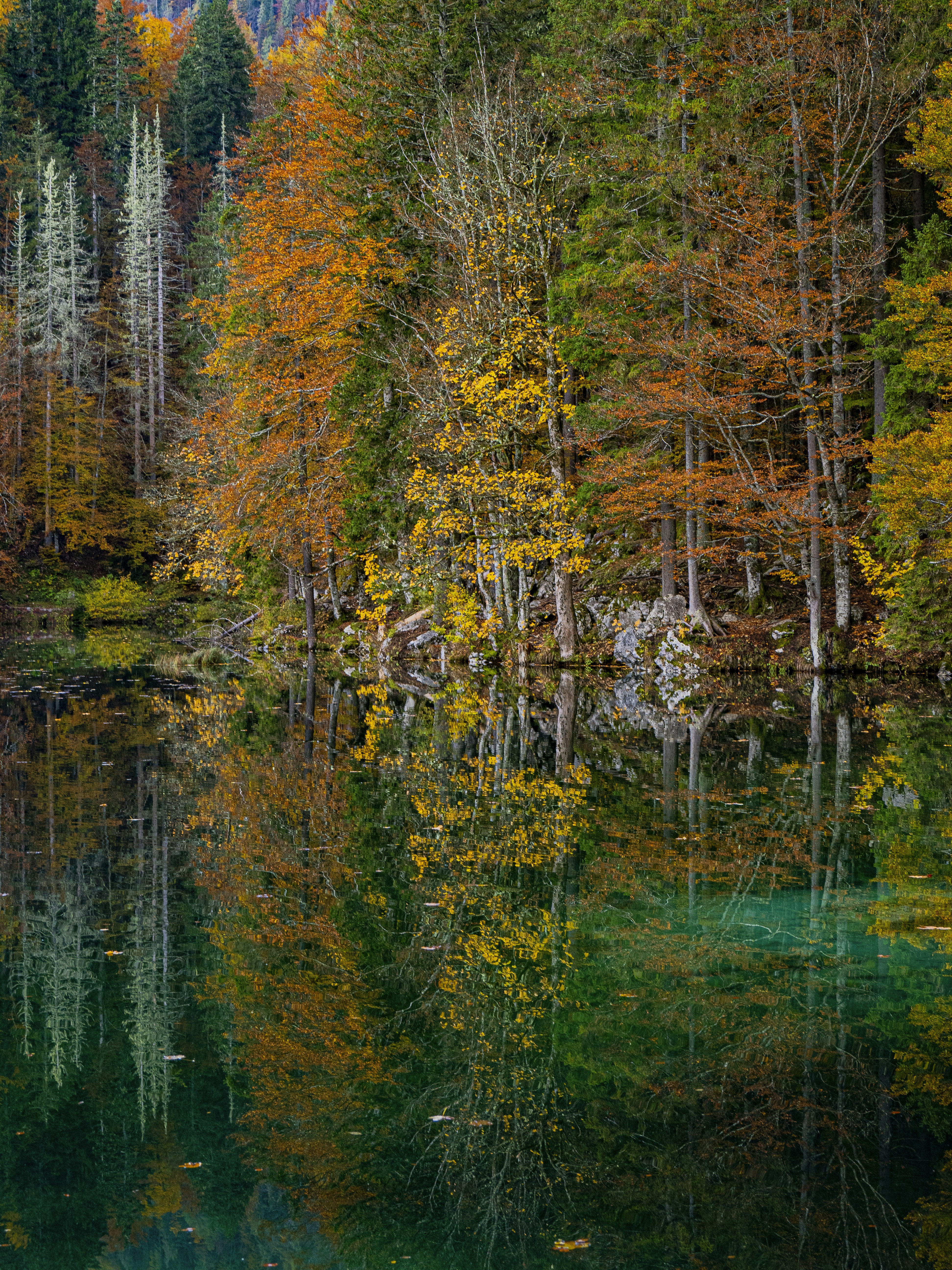 Photo by gopitri_prem