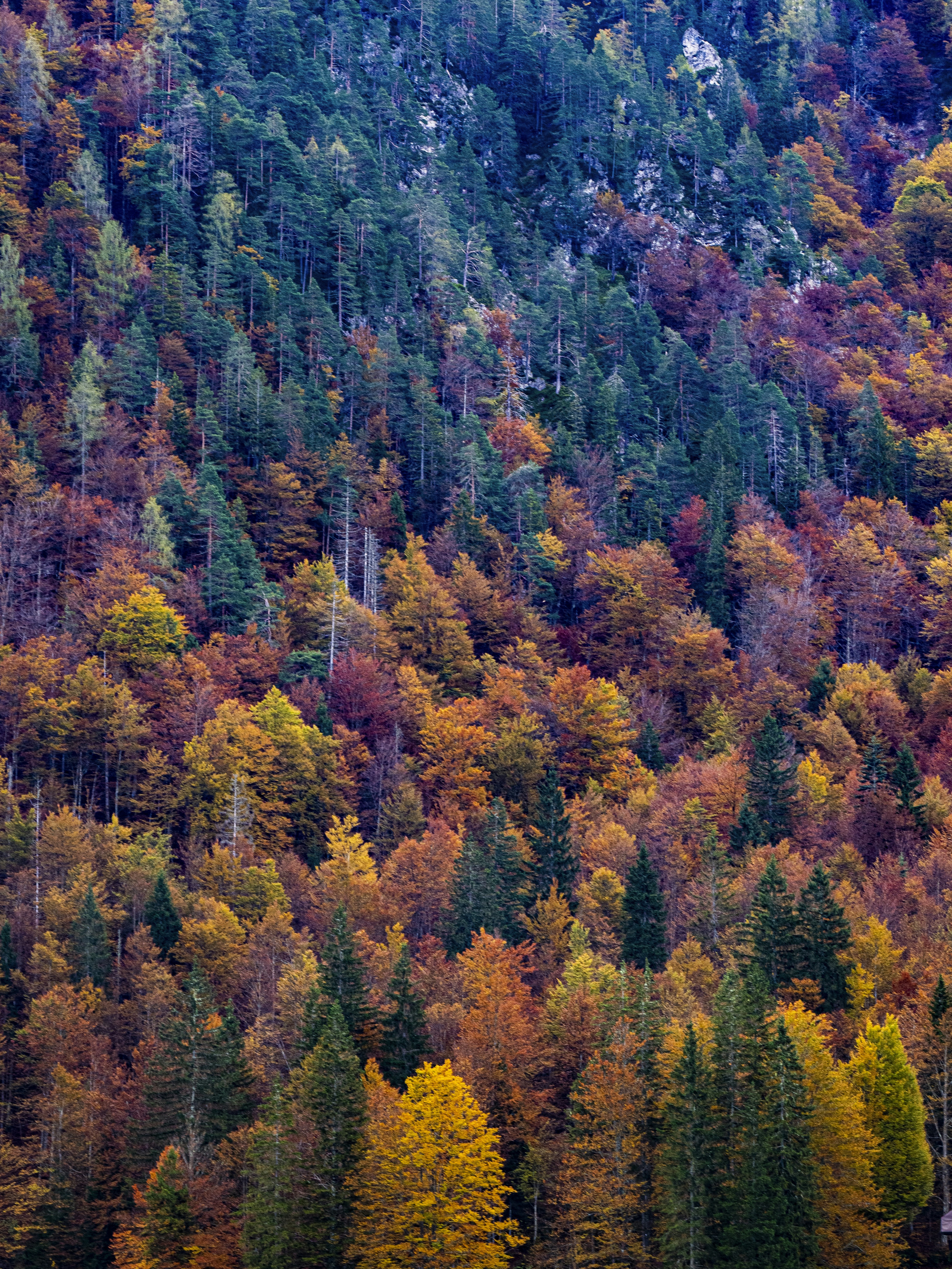 Photo by gopitri_prem