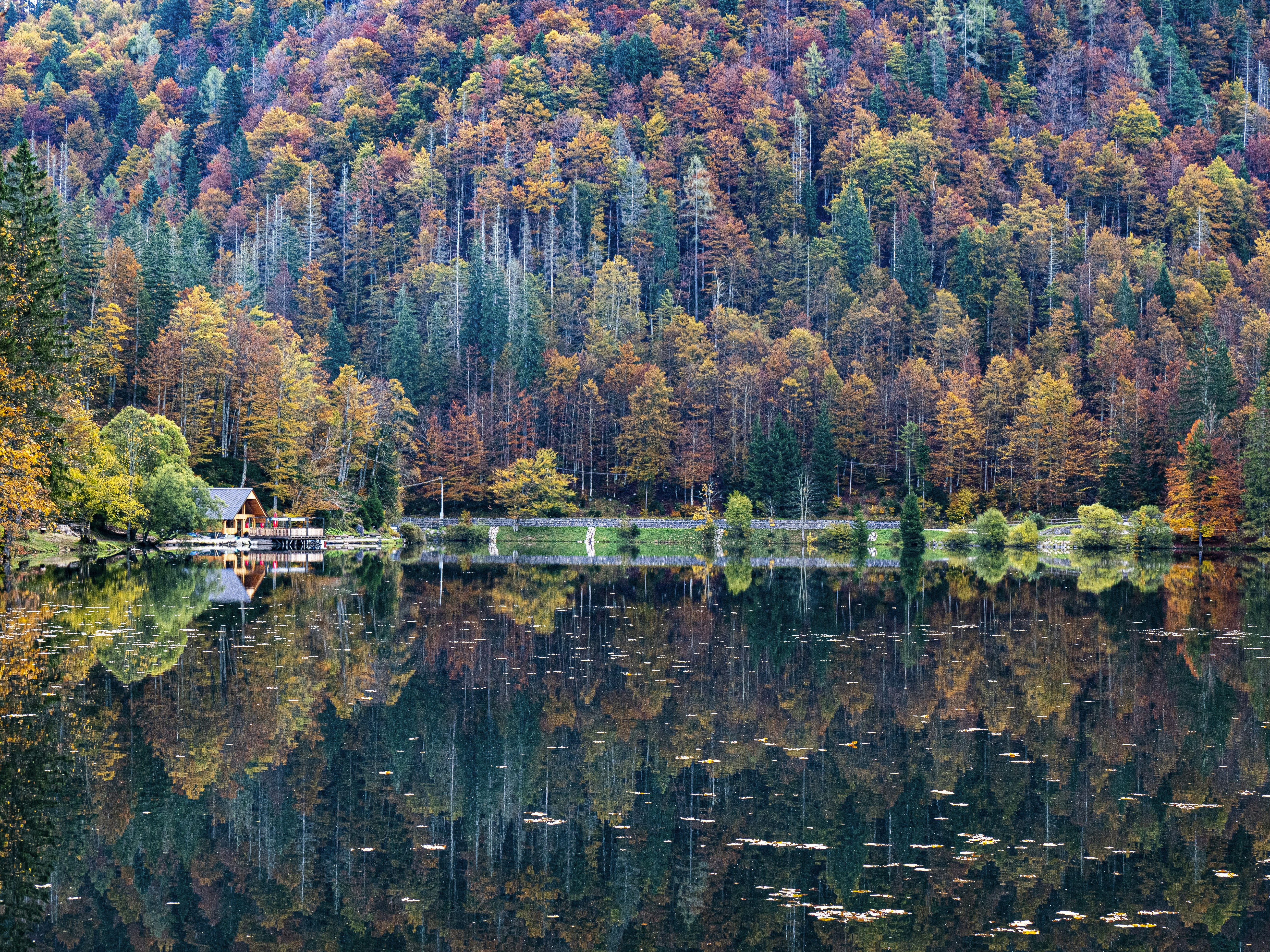 Photo by gopitri_prem