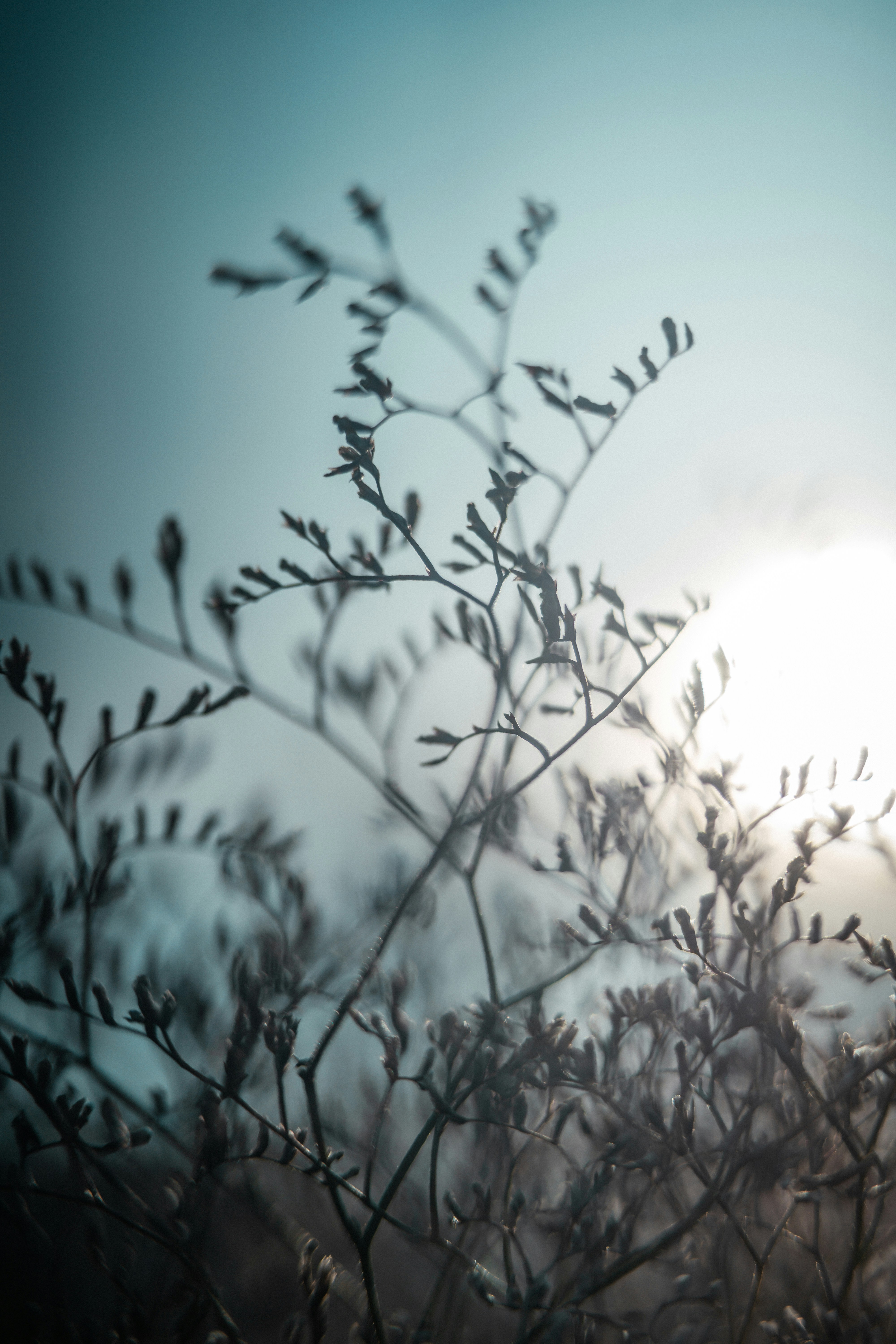 Photo by anamnesis33