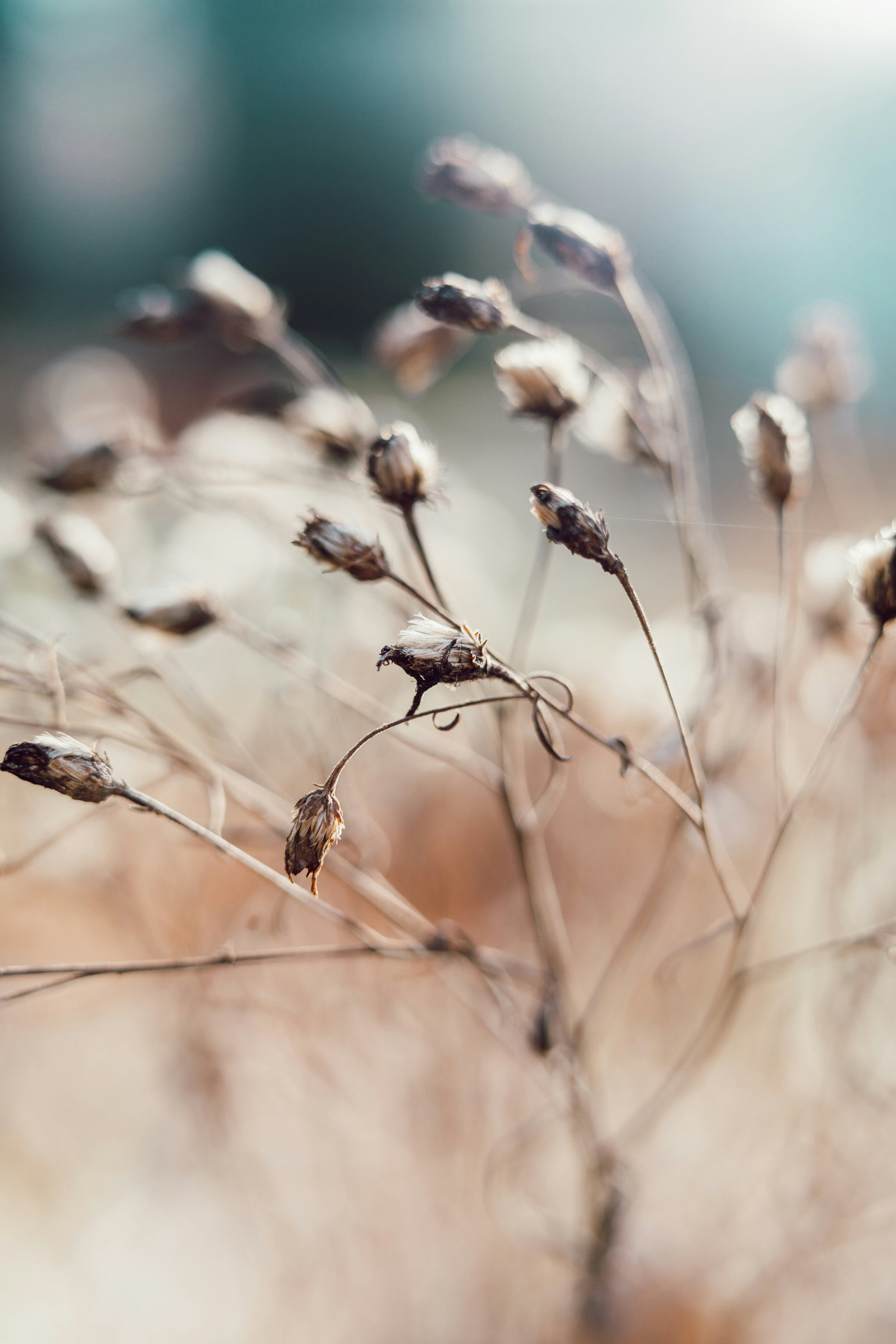 Photo by anamnesis33