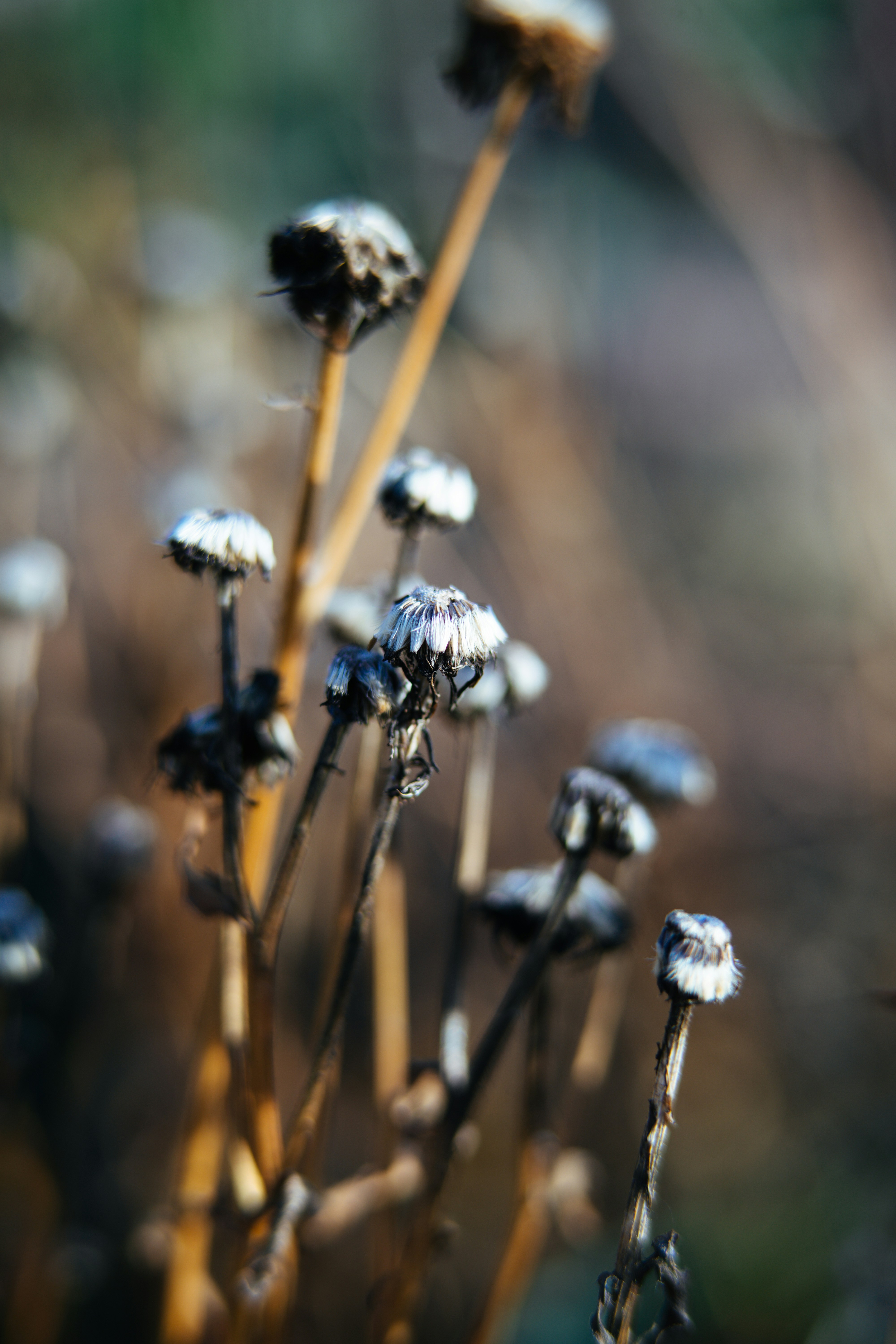 Photo by anamnesis33