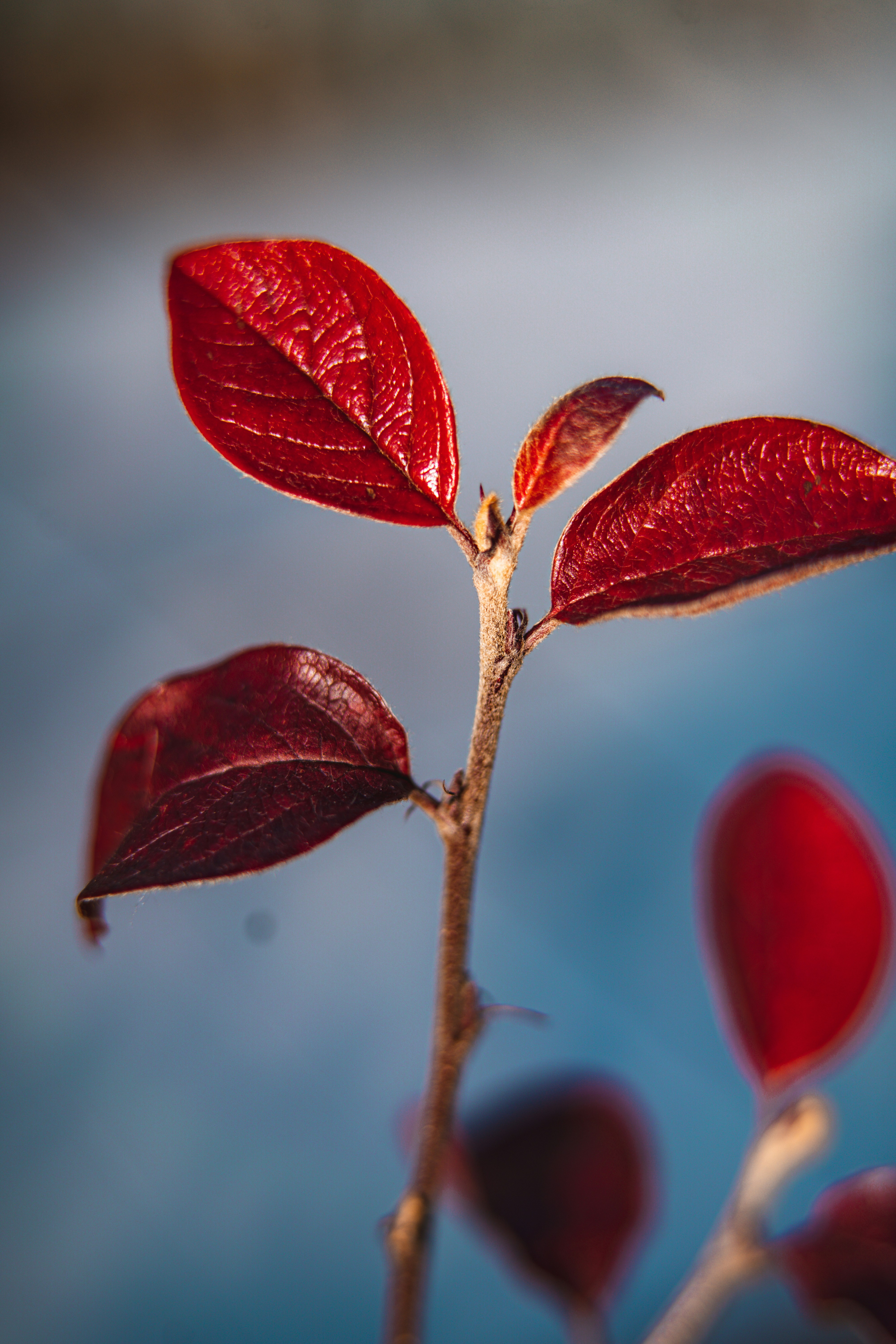 Photo by anamnesis33