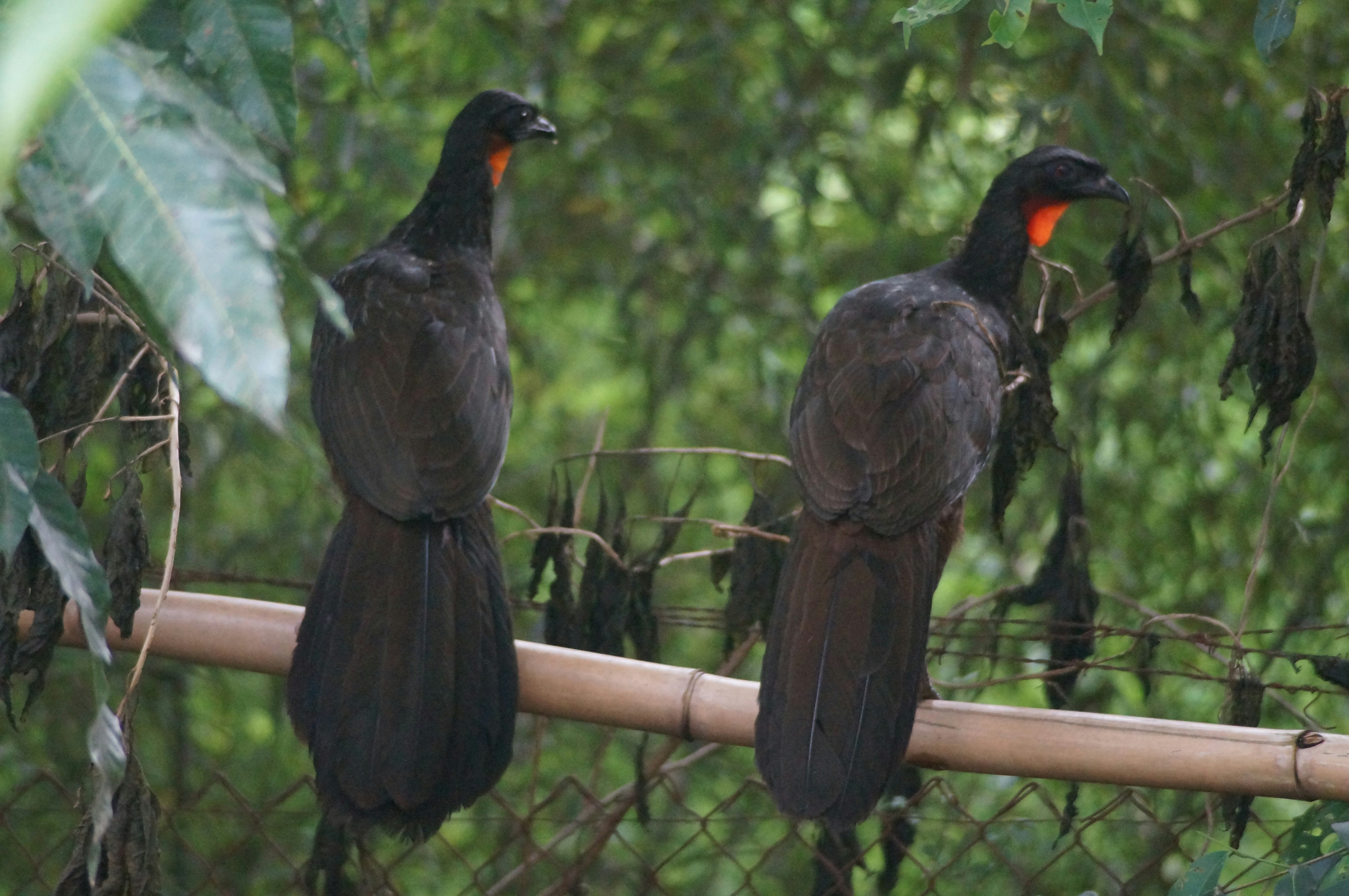 Photo by fredmachado