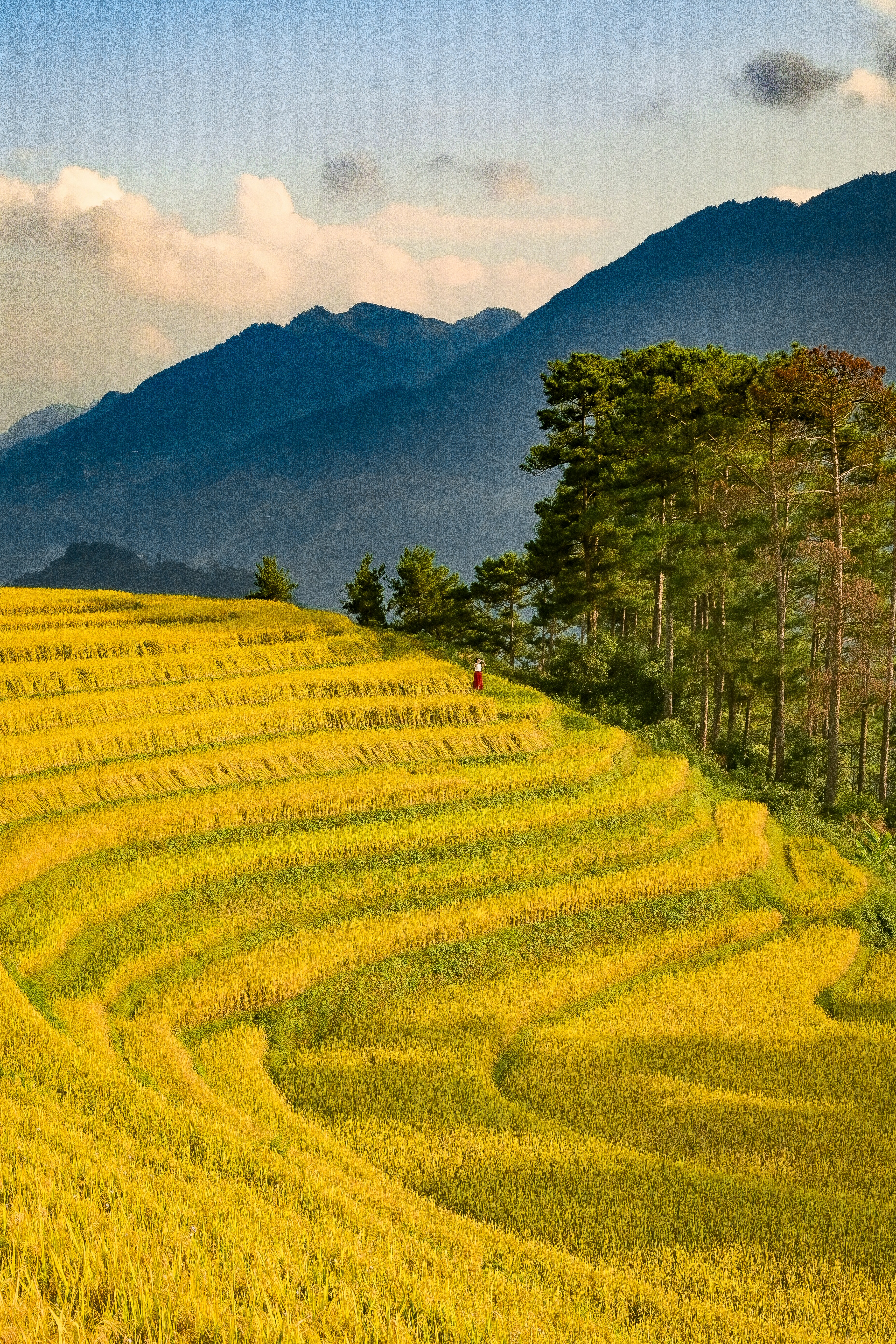 Photo by jordannguyen