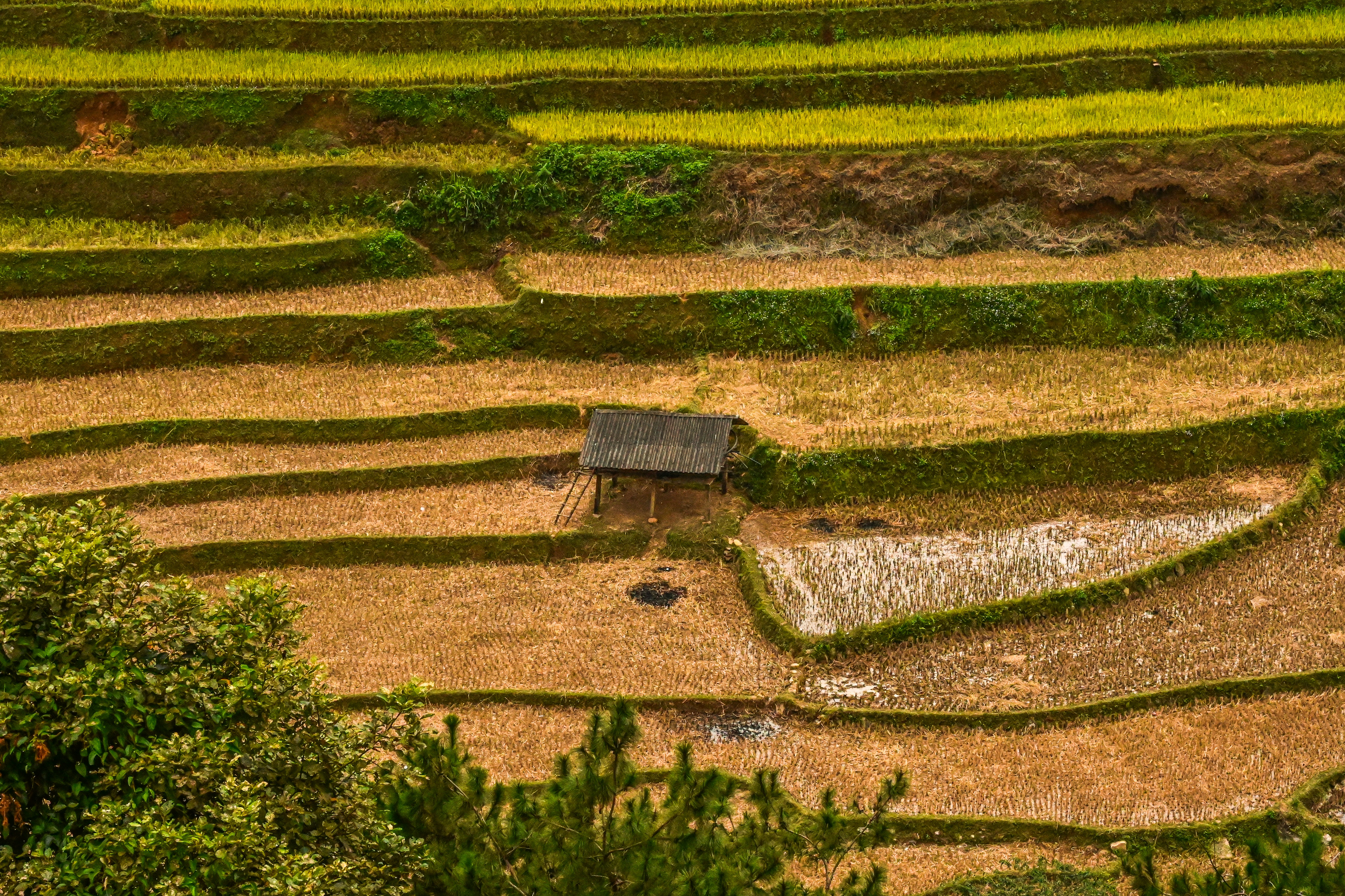 Photo by jordannguyen