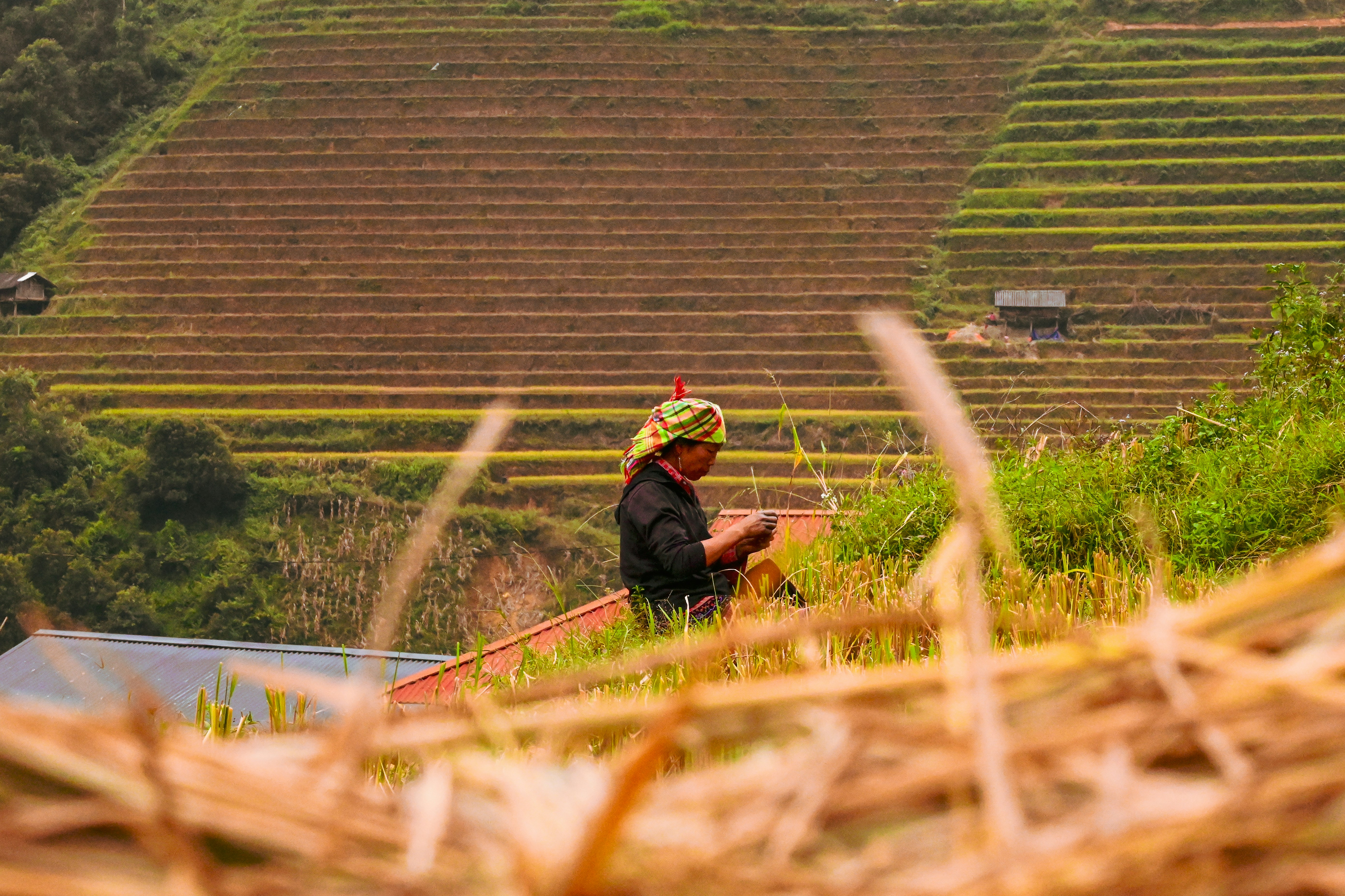 Photo by jordannguyen