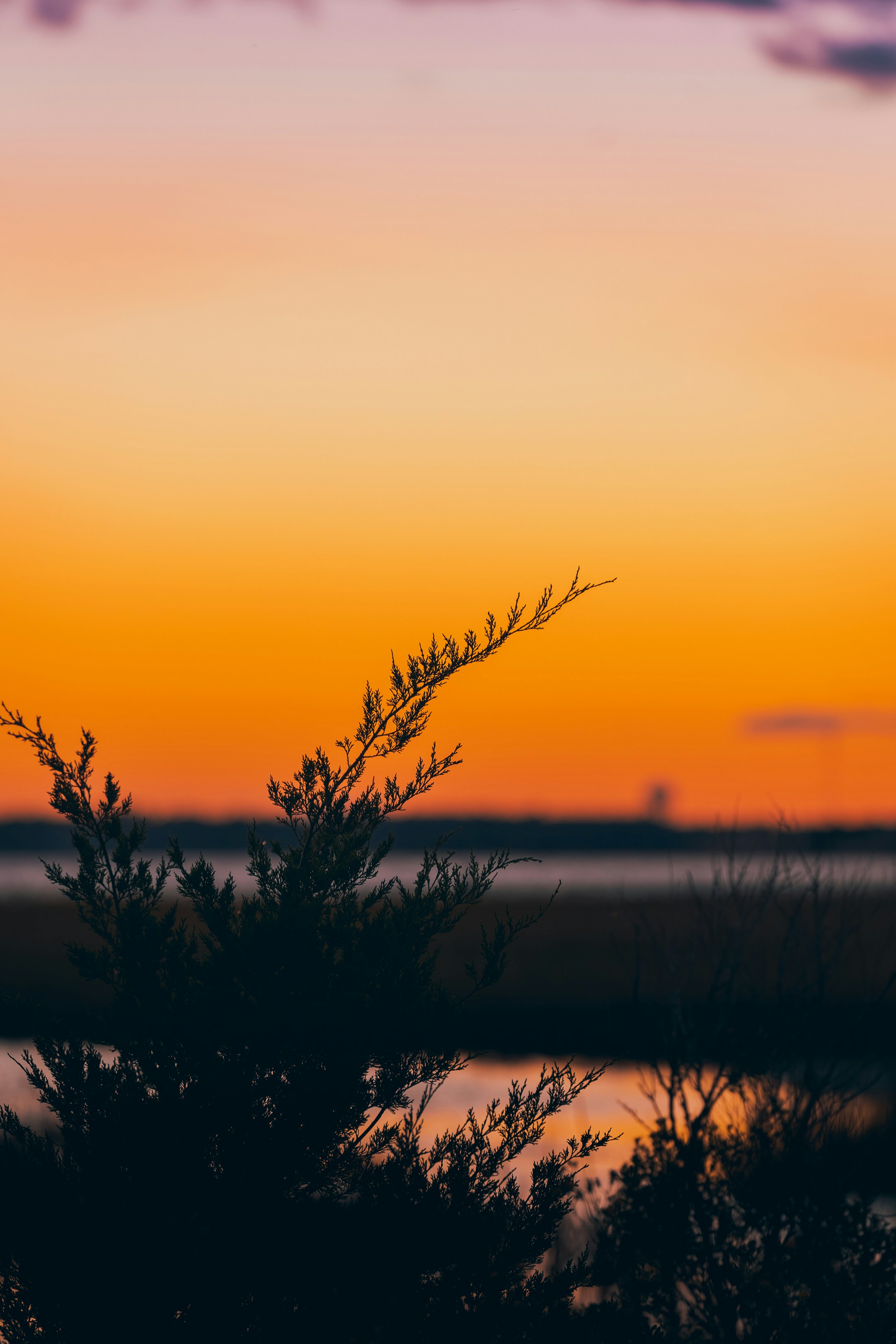 Photo by wanderingbo