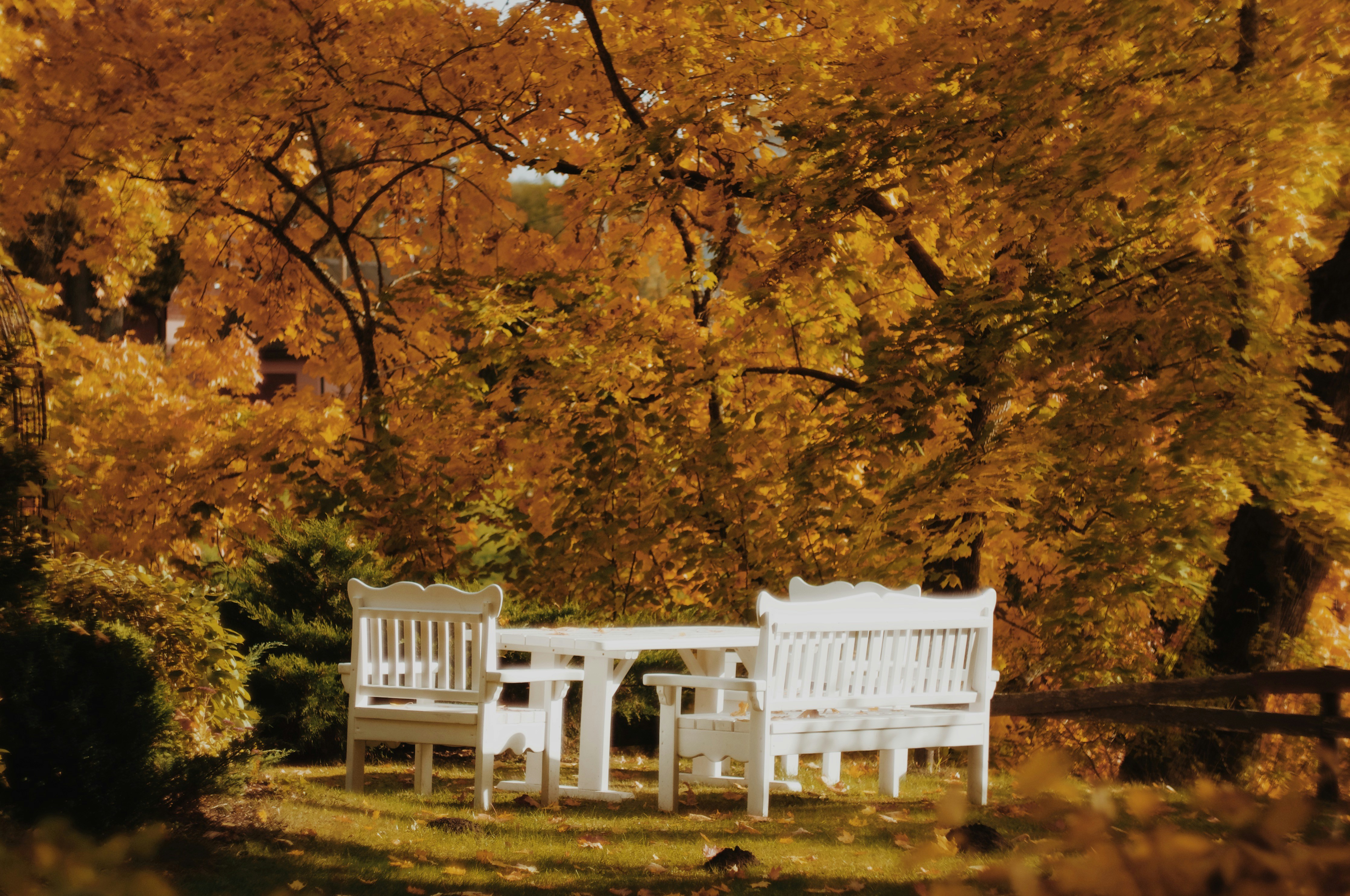 Photo by jo_negatives