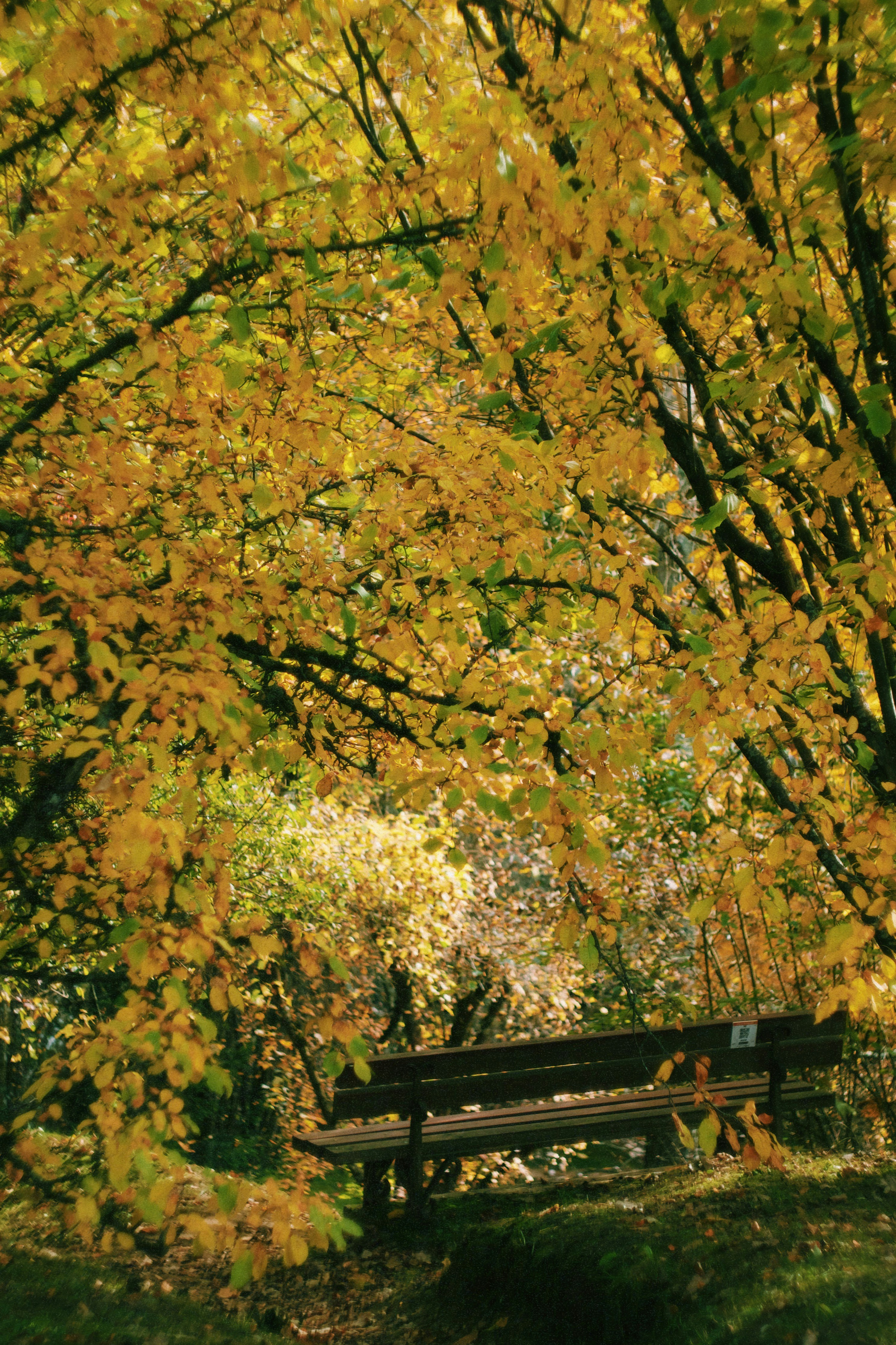 Photo by jo_negatives