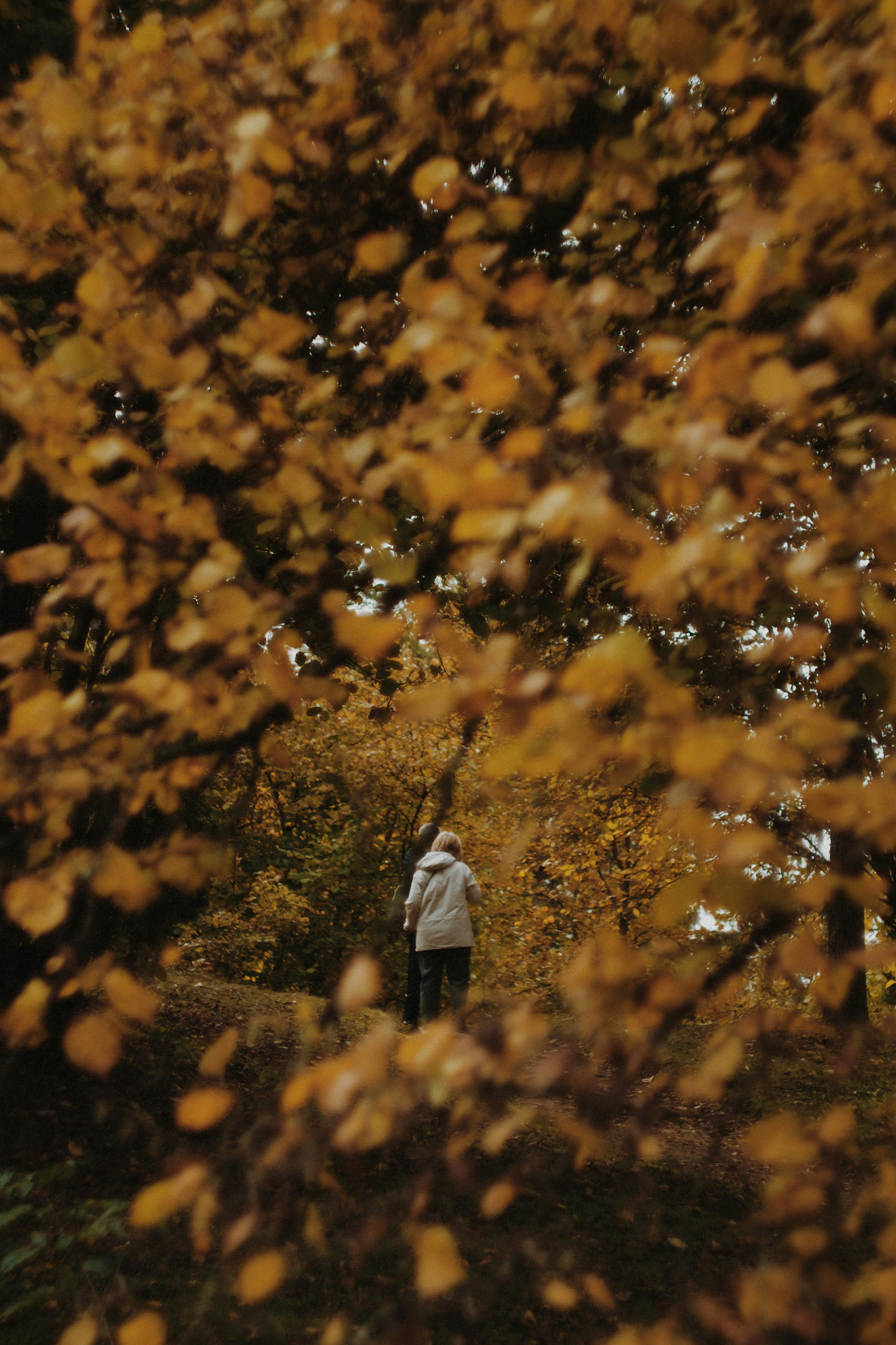 Photo by jo_negatives