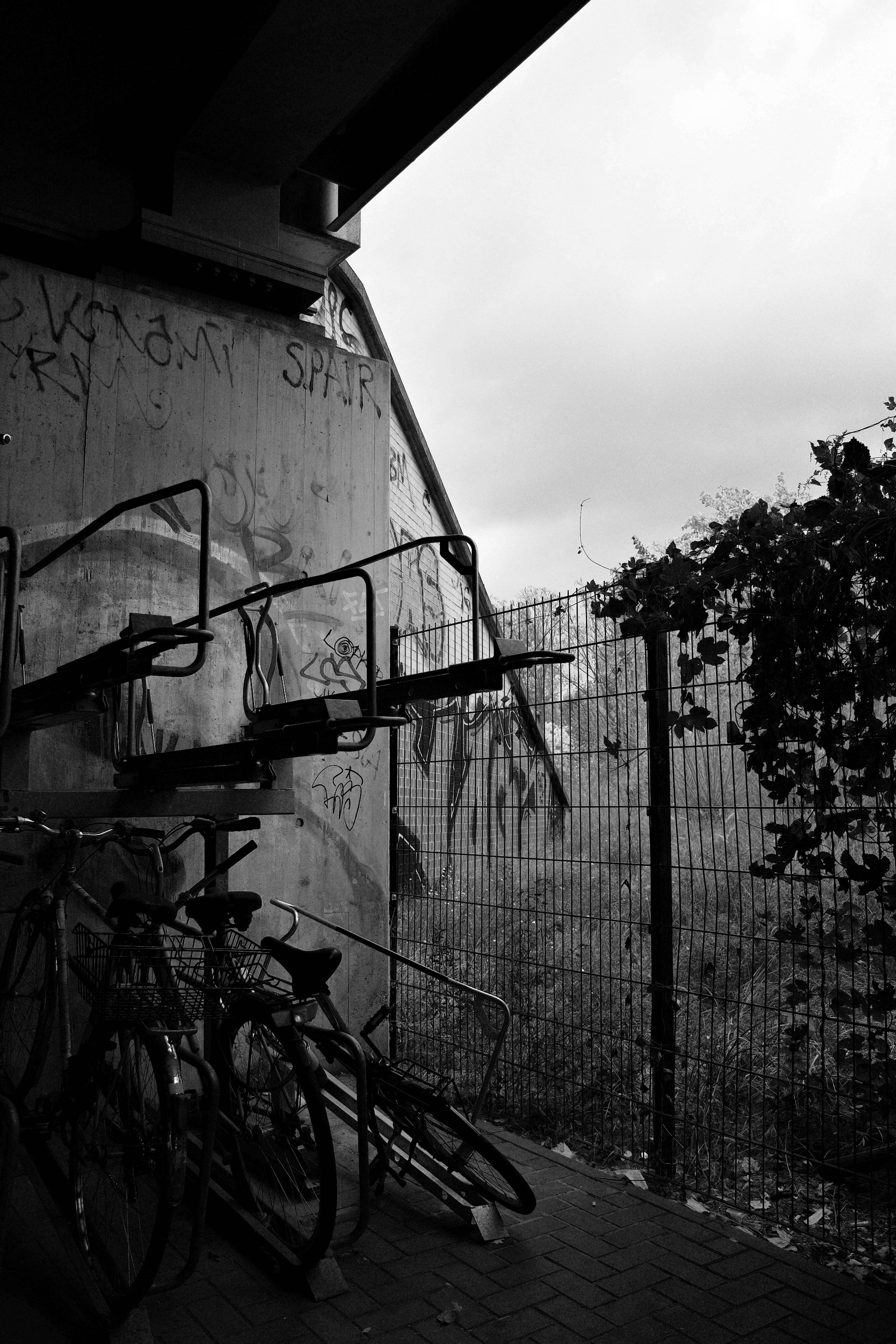 The Evolution of Local Listings in 2026: From Directories to Experience Marketplaces