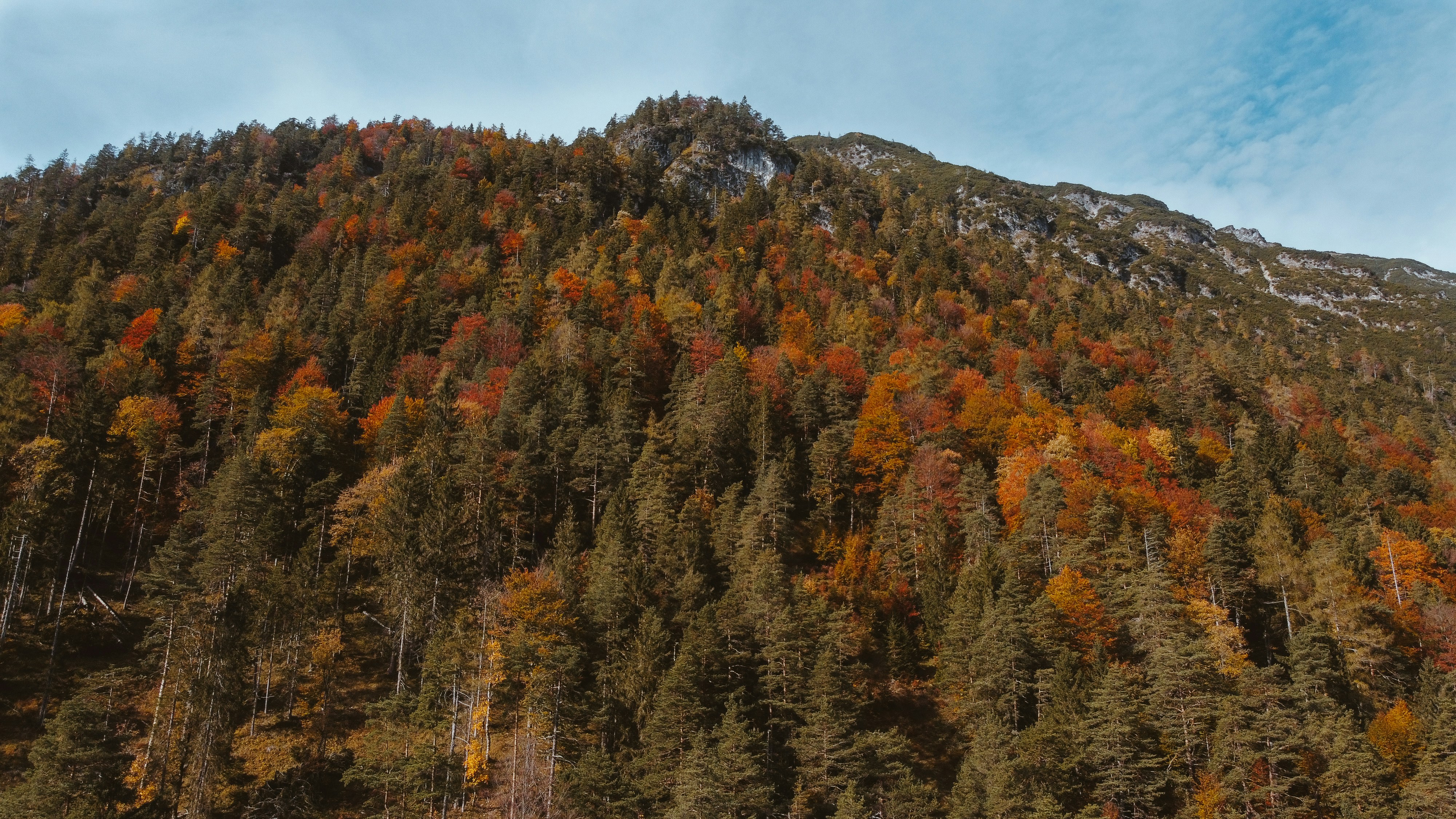 Photo by shutter_speed_