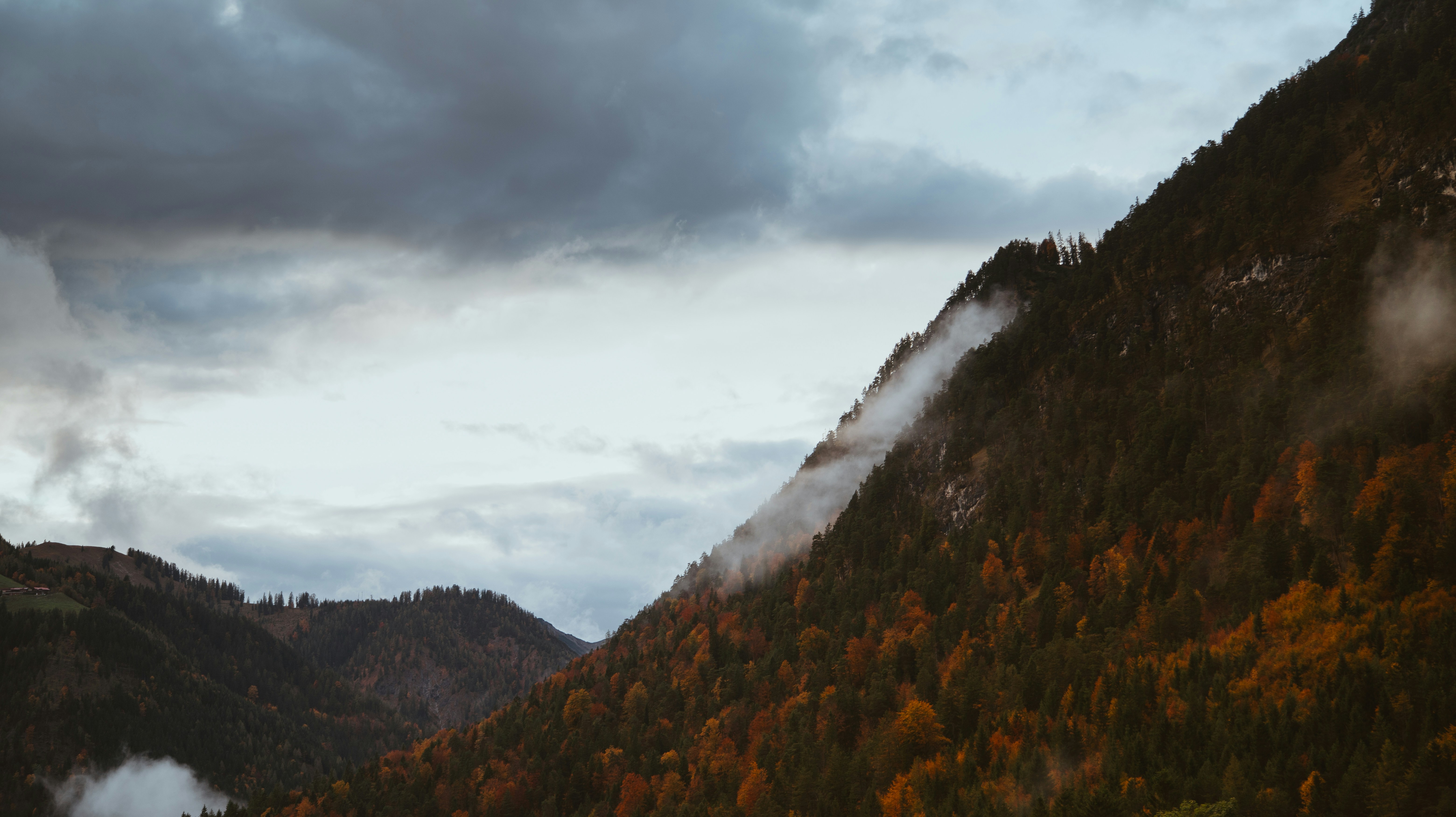 Photo by shutter_speed_