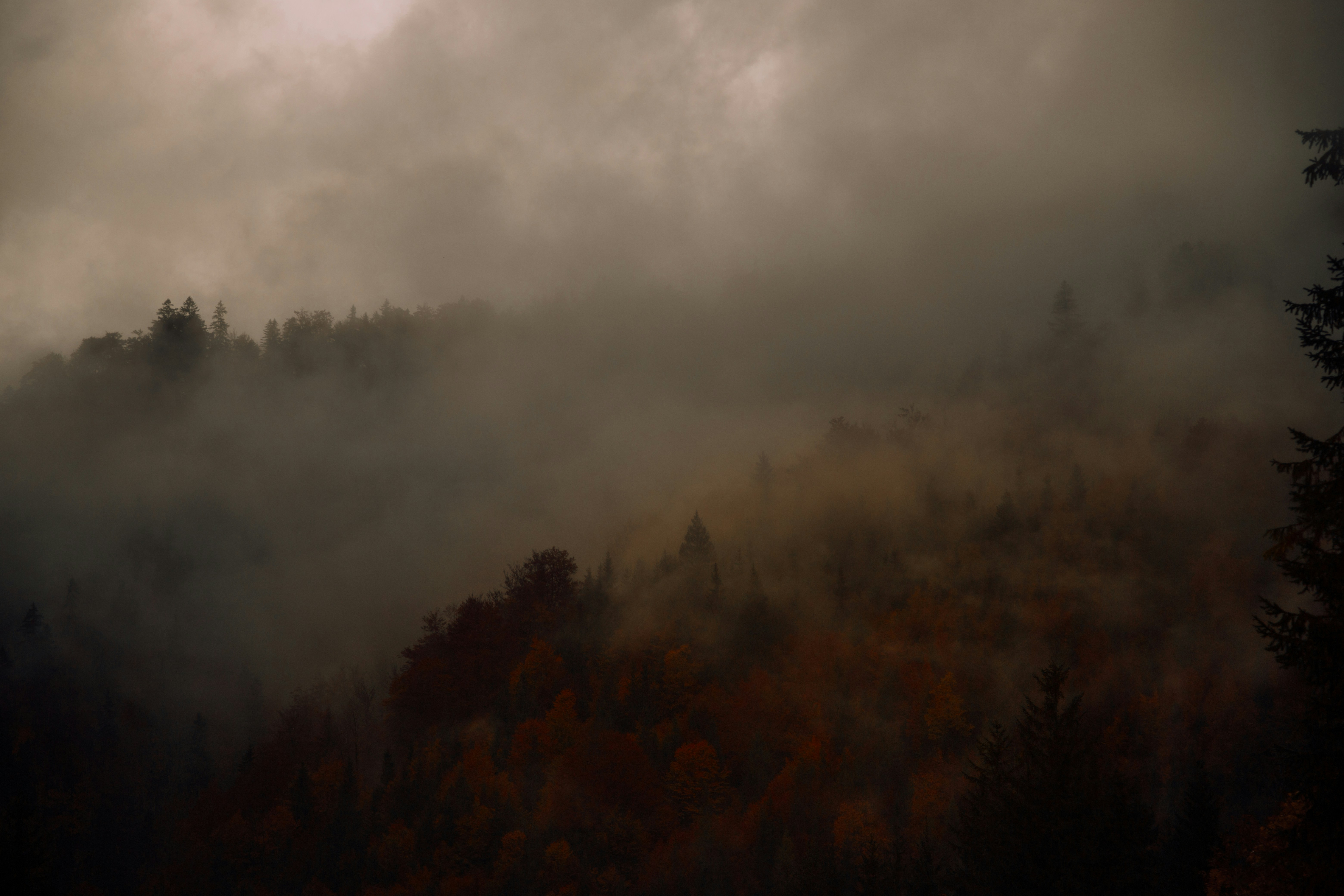 Photo by shutter_speed_