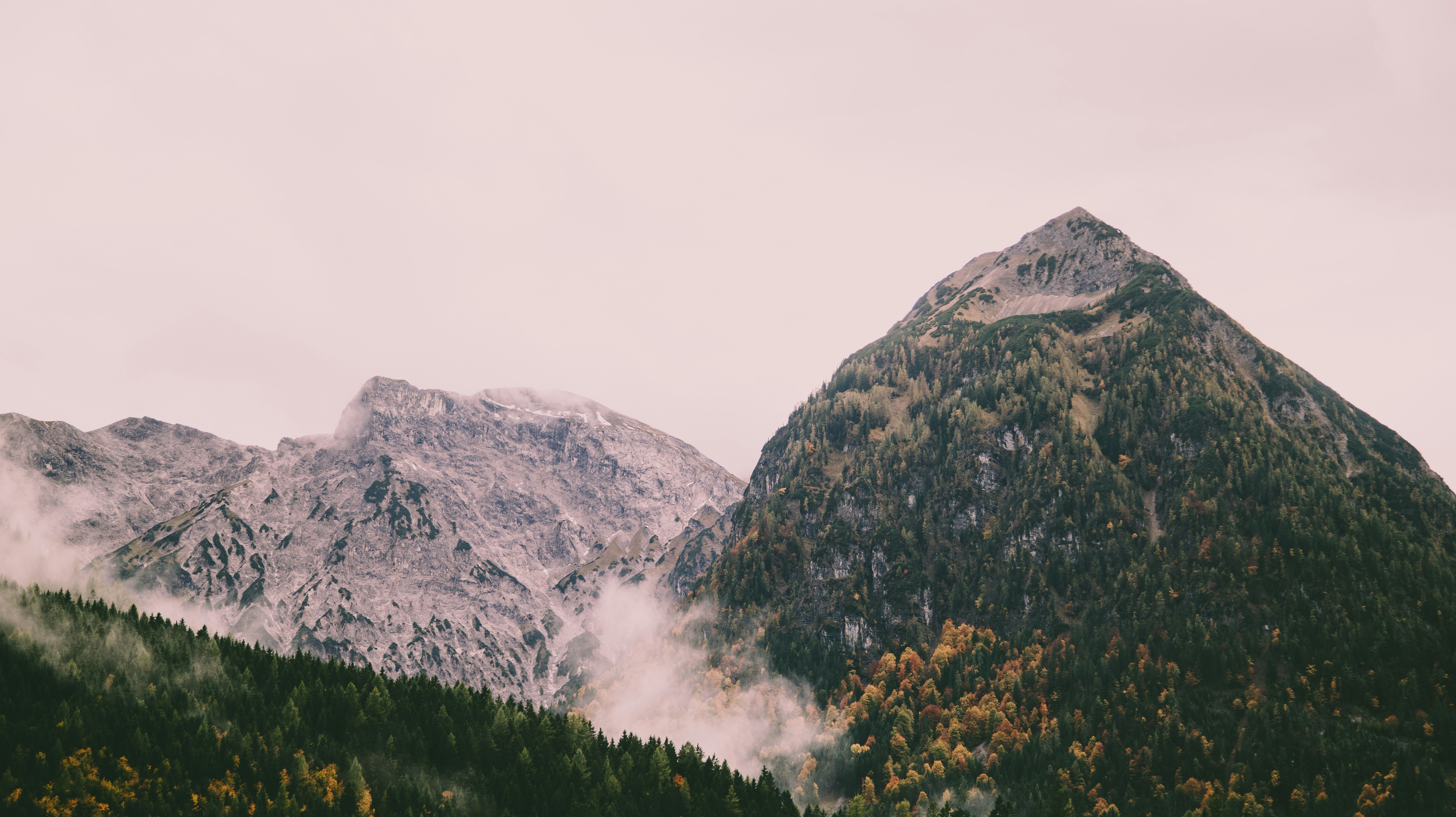 Photo by shutter_speed_