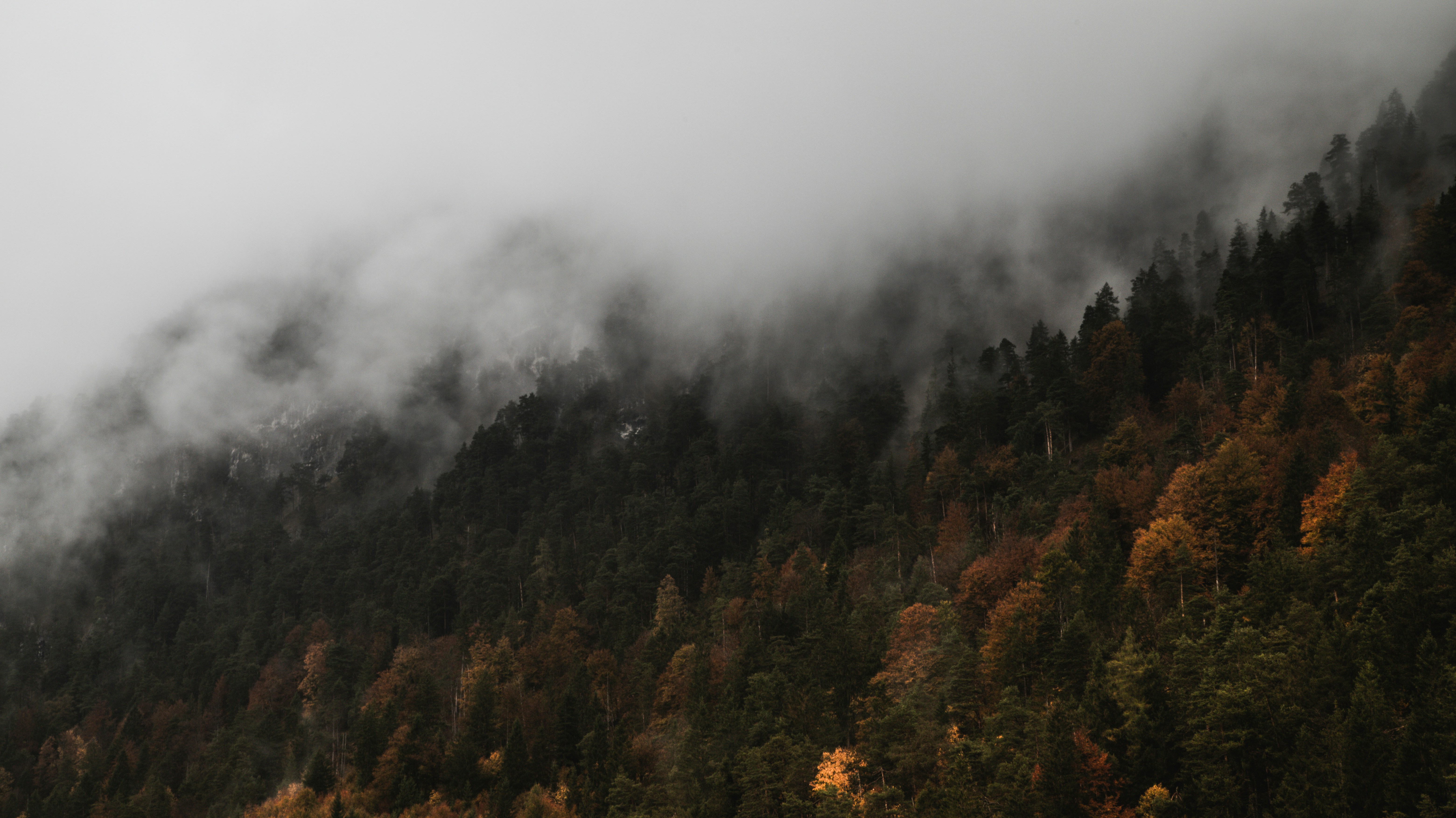 Photo by shutter_speed_