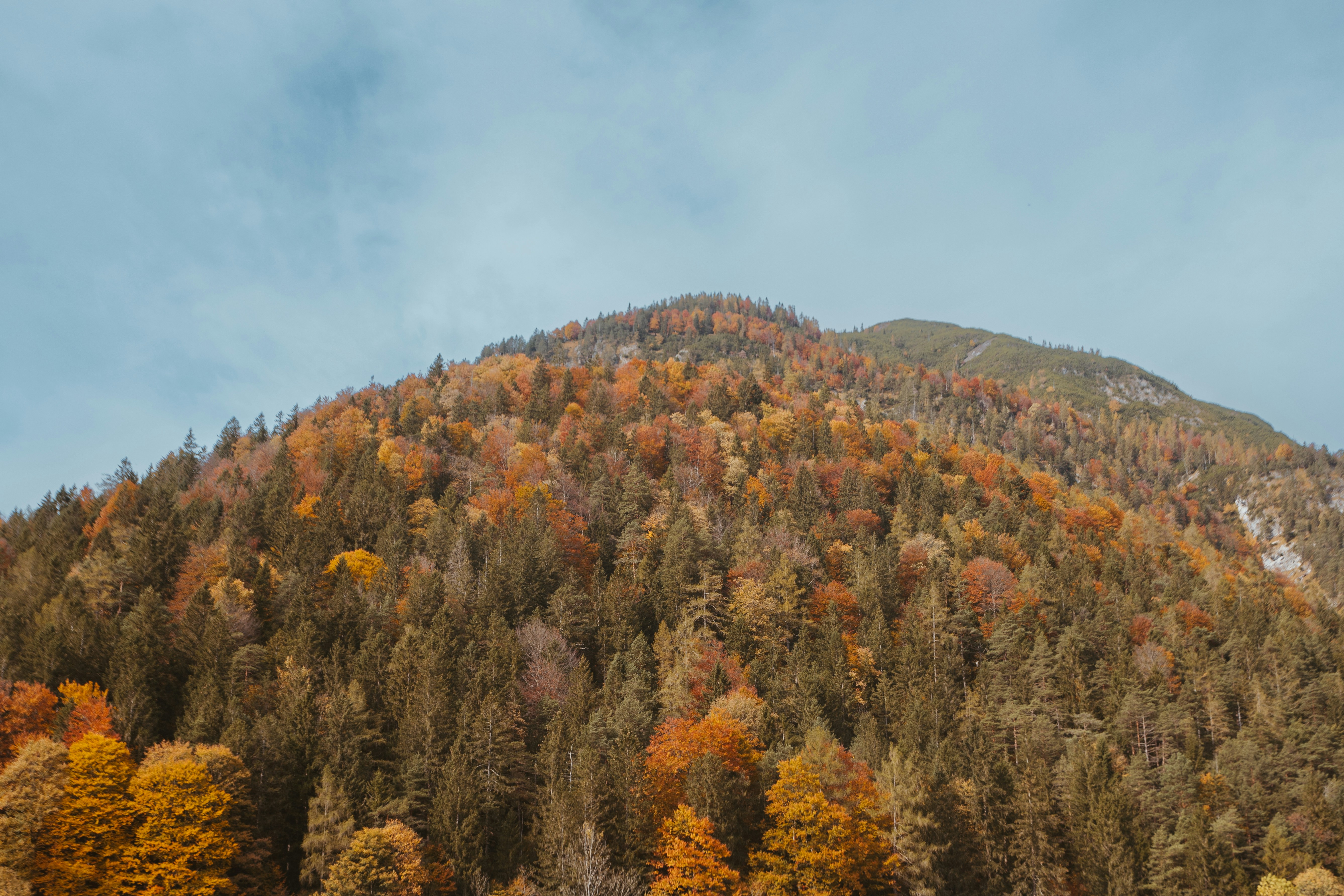 Photo by shutter_speed_