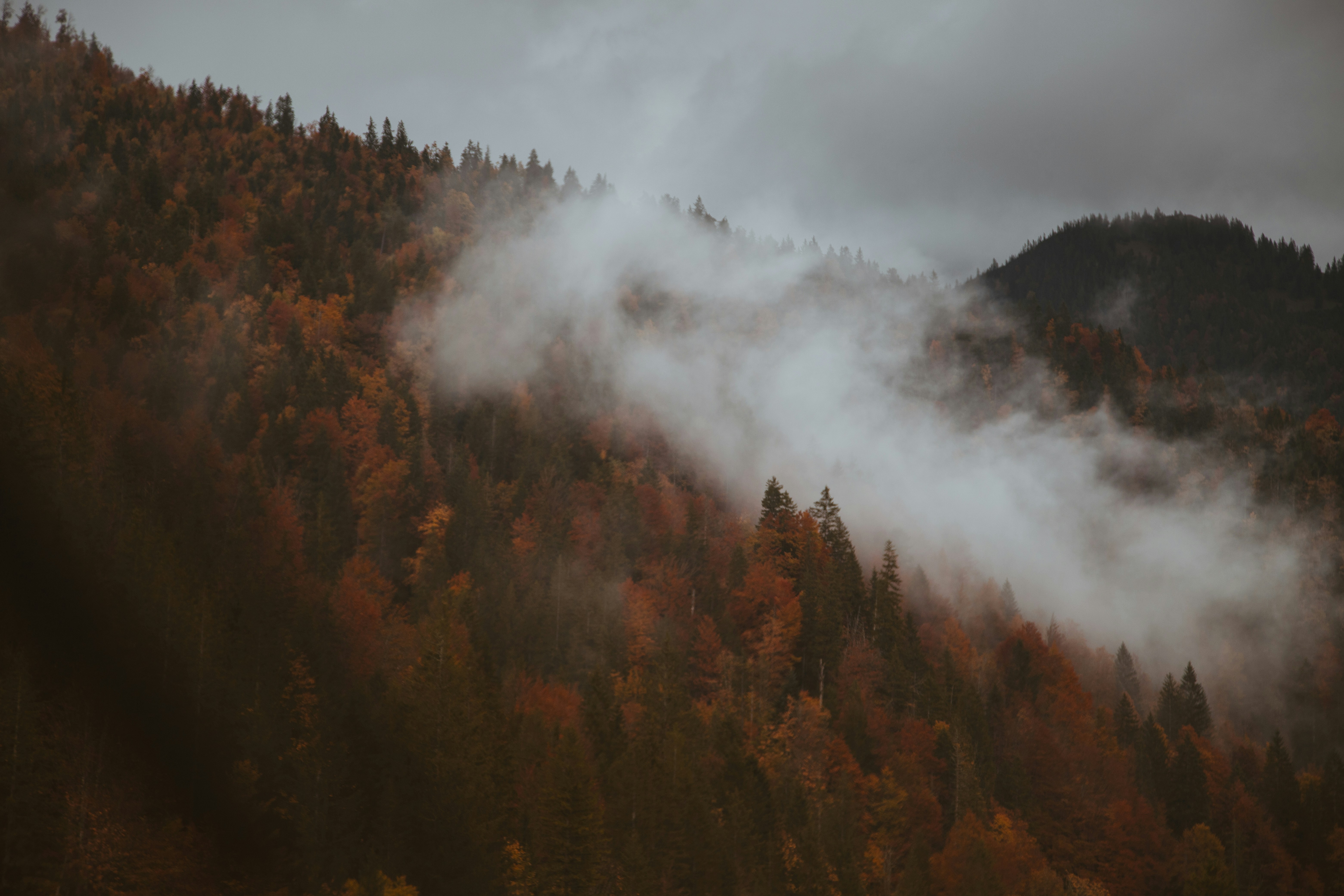 Photo by shutter_speed_