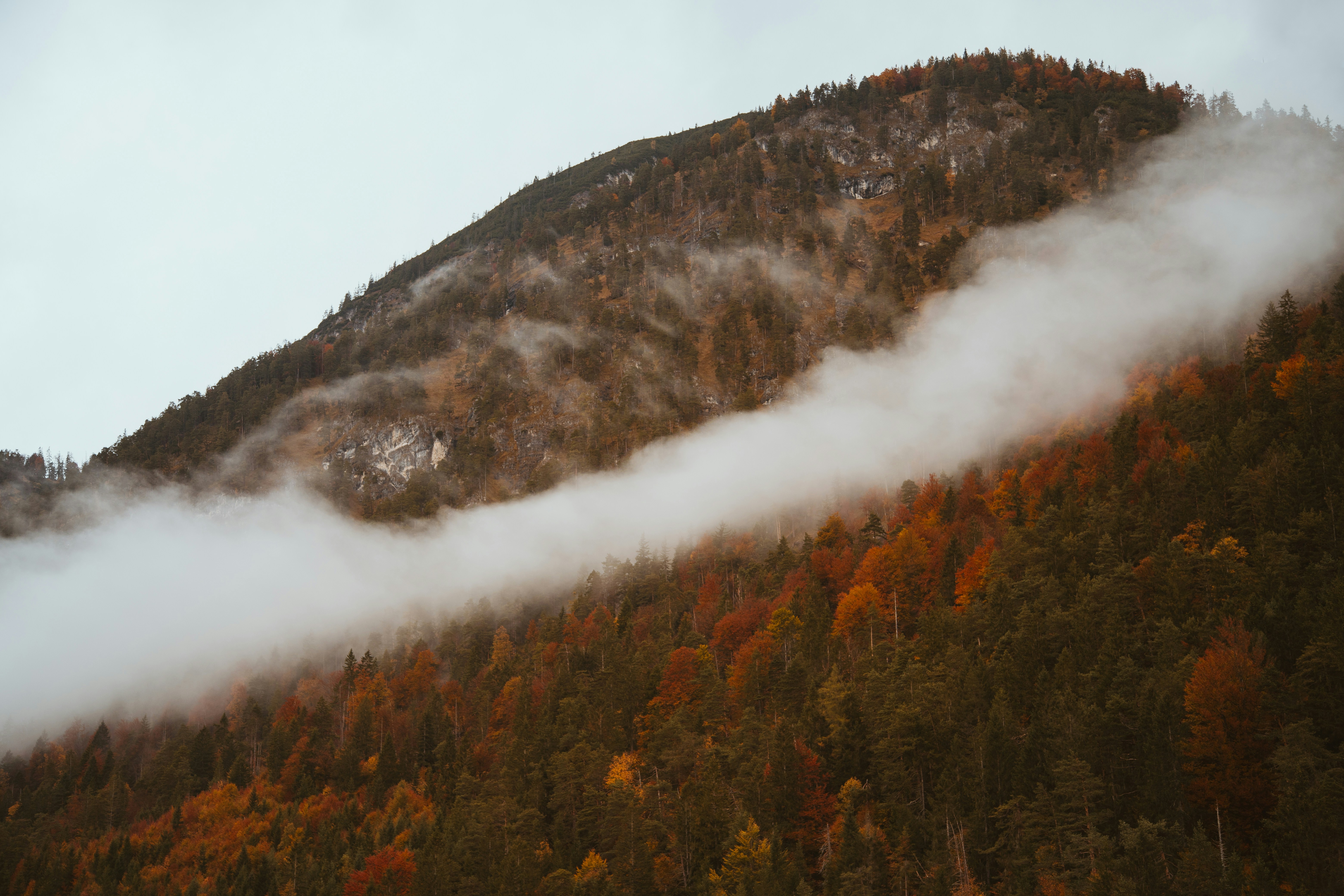 Photo by shutter_speed_