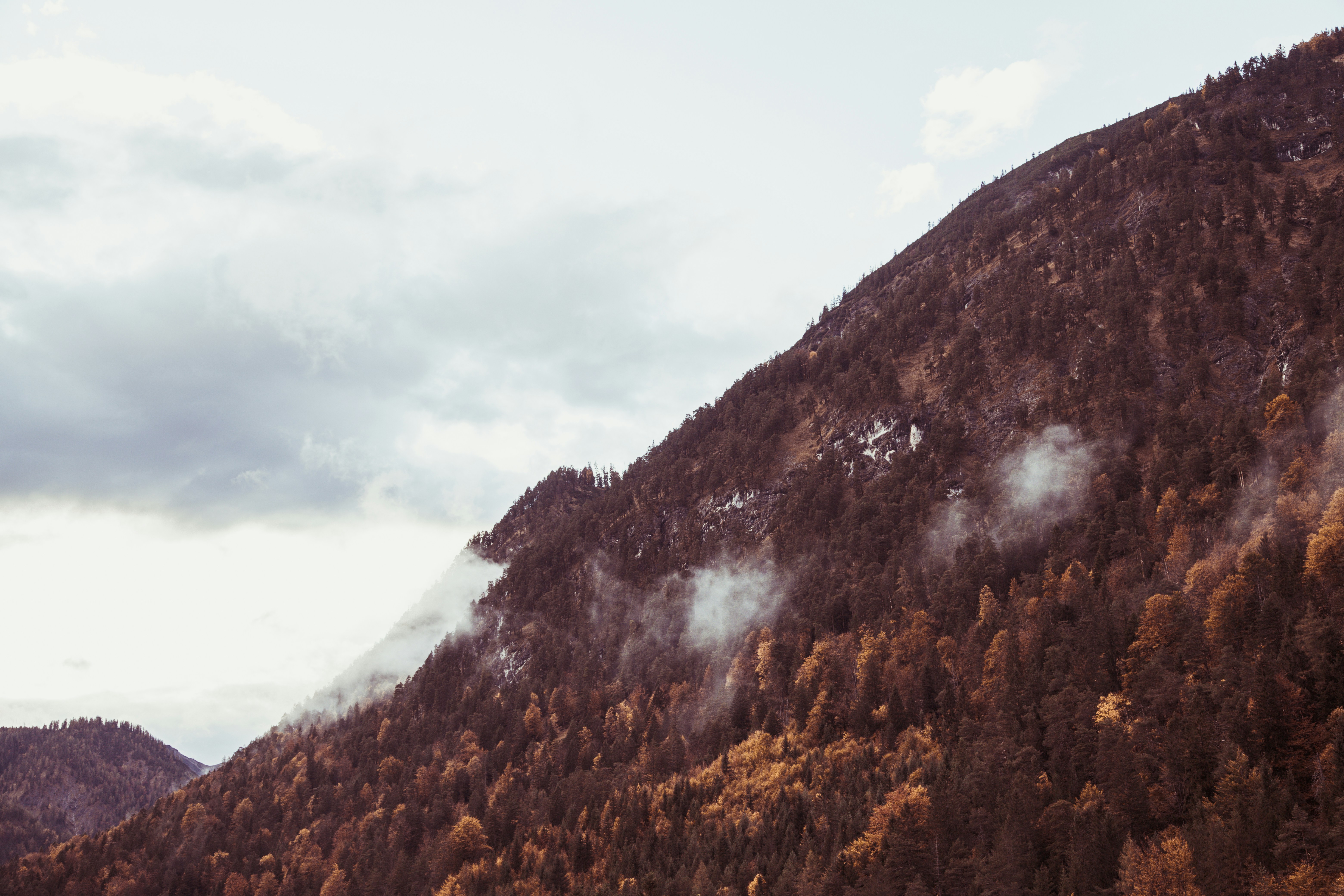 Photo by shutter_speed_