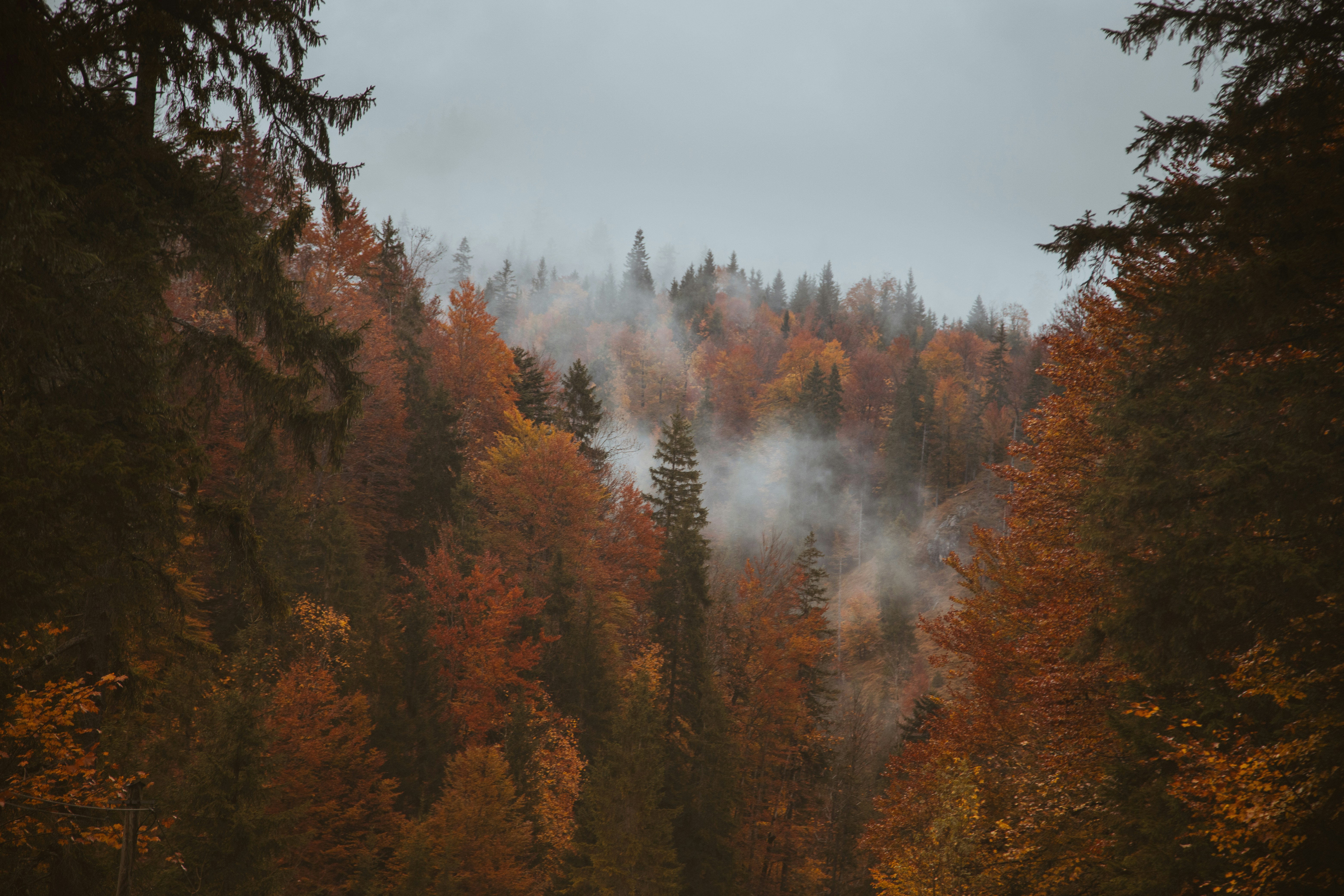 Photo by shutter_speed_