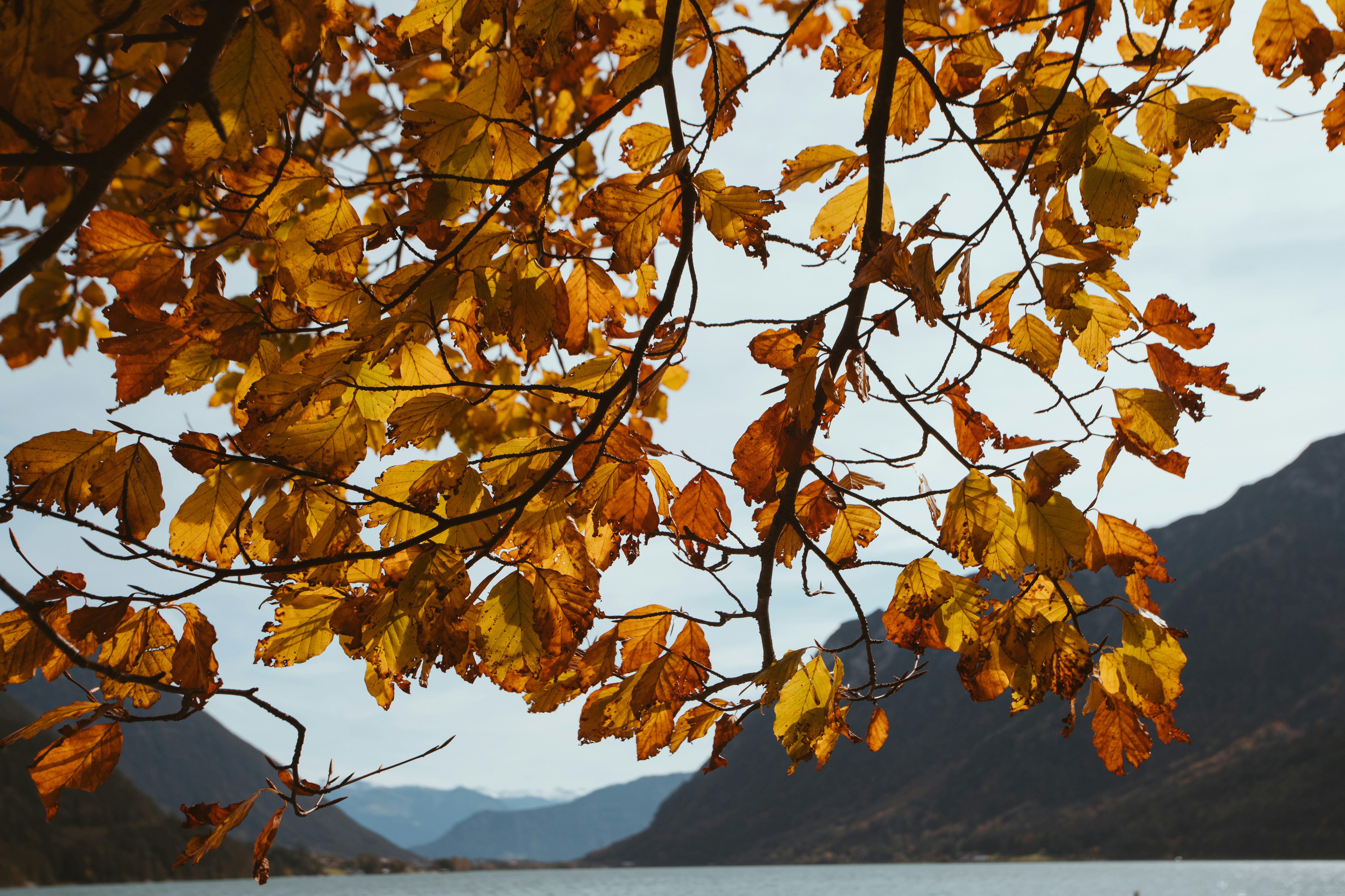 Photo by shutter_speed_