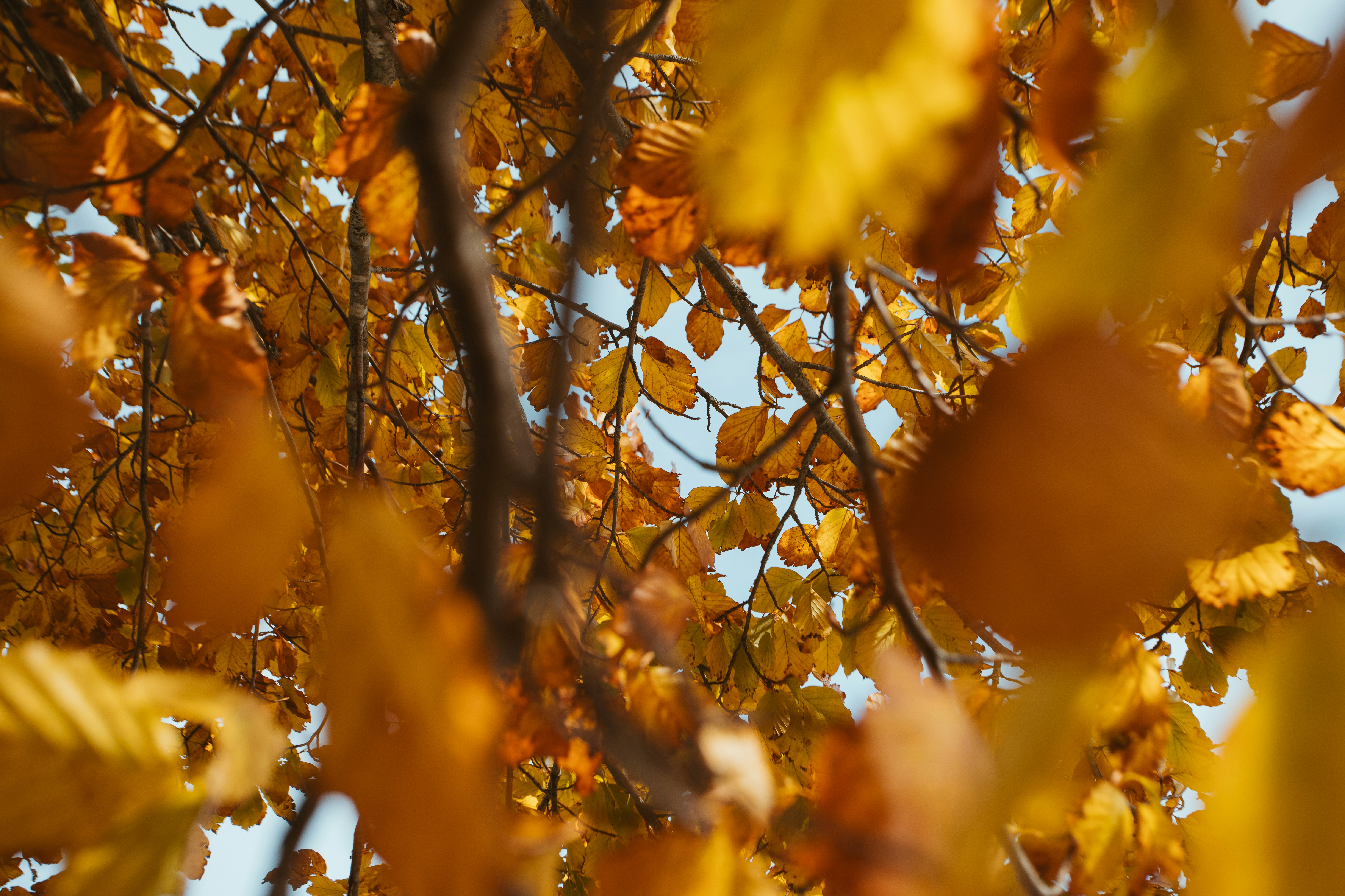 Photo by shutter_speed_