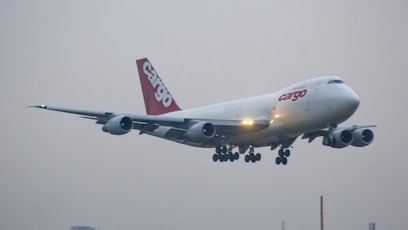 A large jetliner flying through a foggy sky