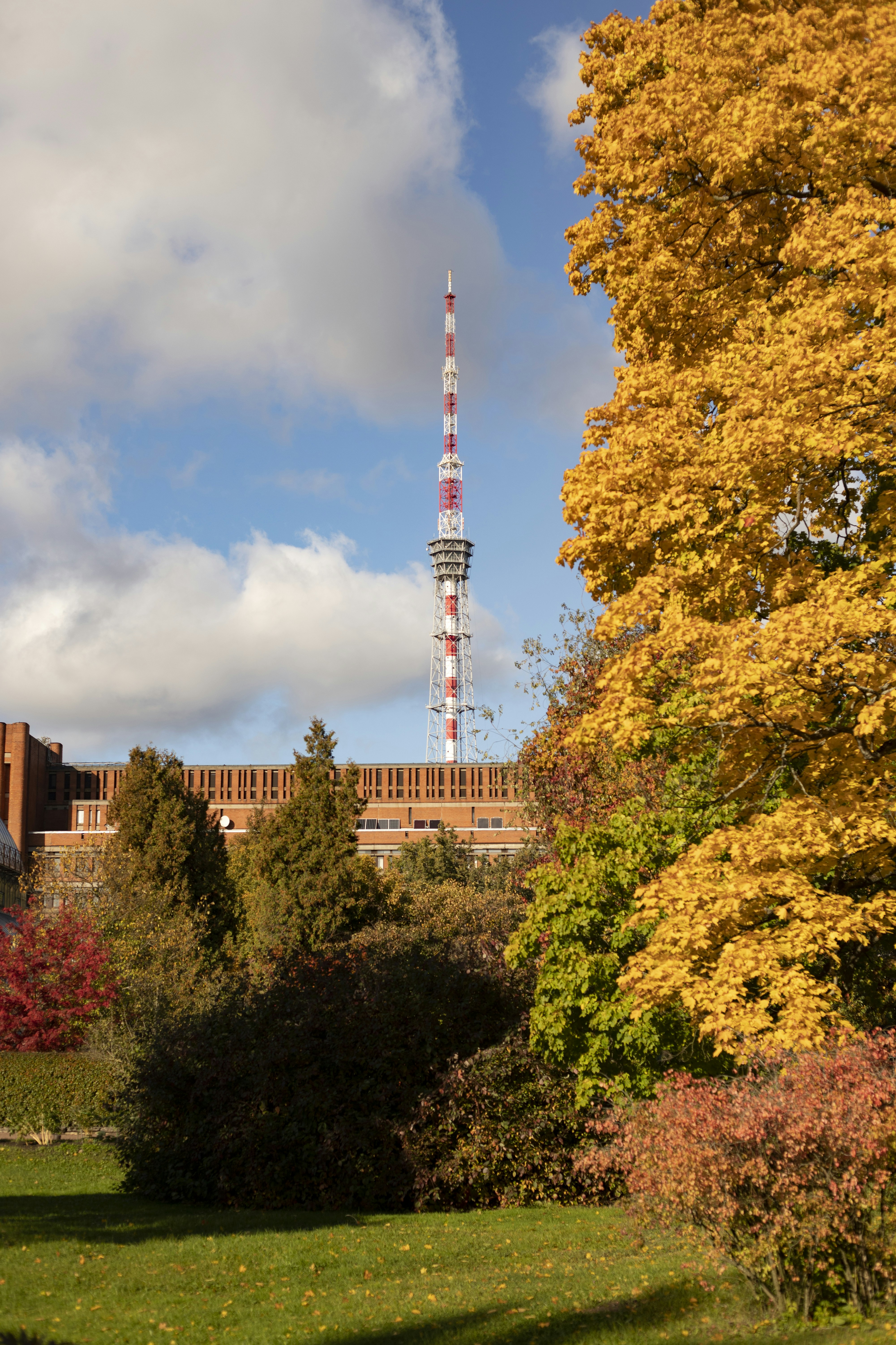 WYŻSZA SZKOŁA TECHNIK KOMPUTEROWYCH I TELEKOMUNIKACJI W KIELCACH