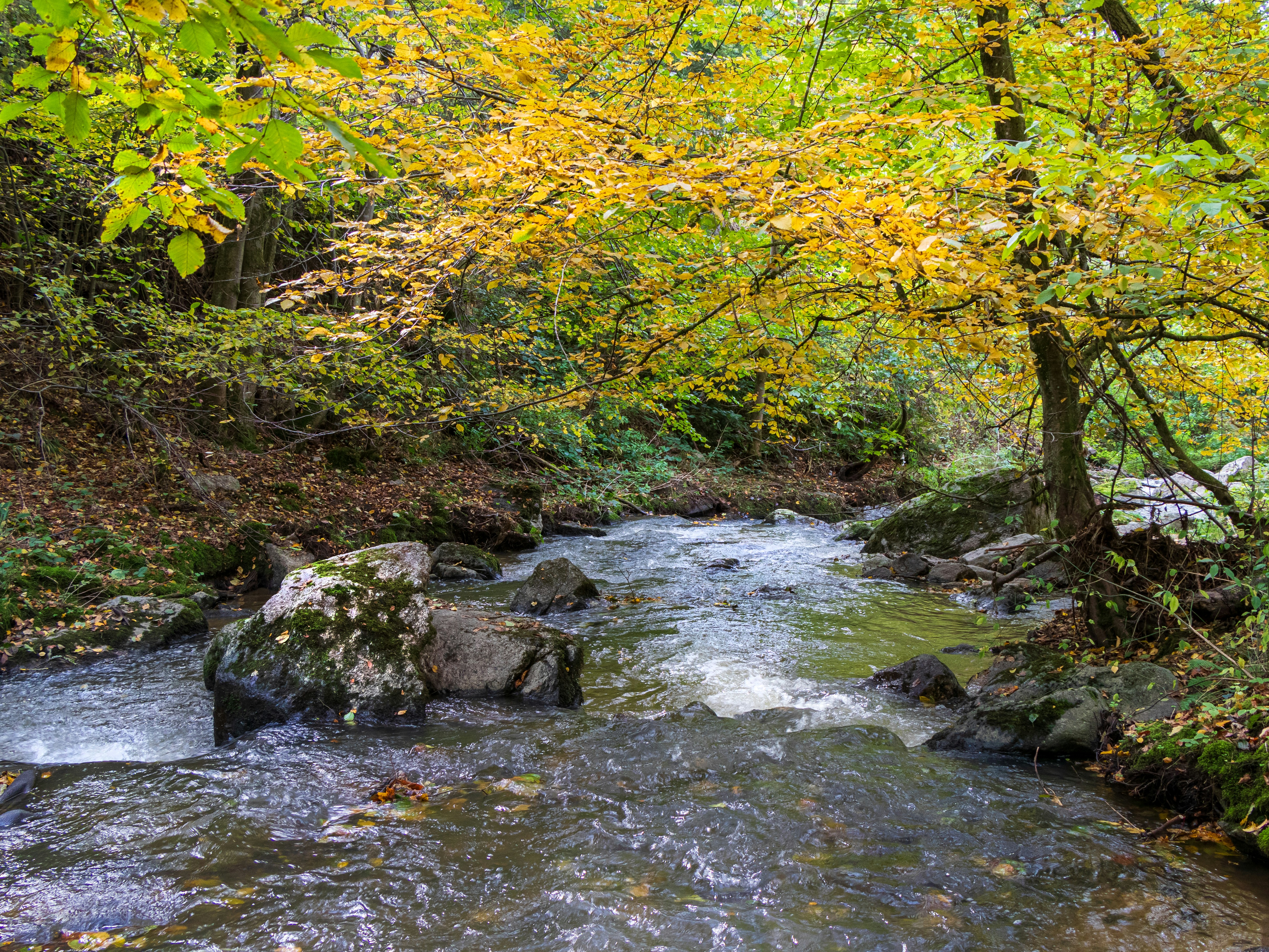 Photo by magictravel