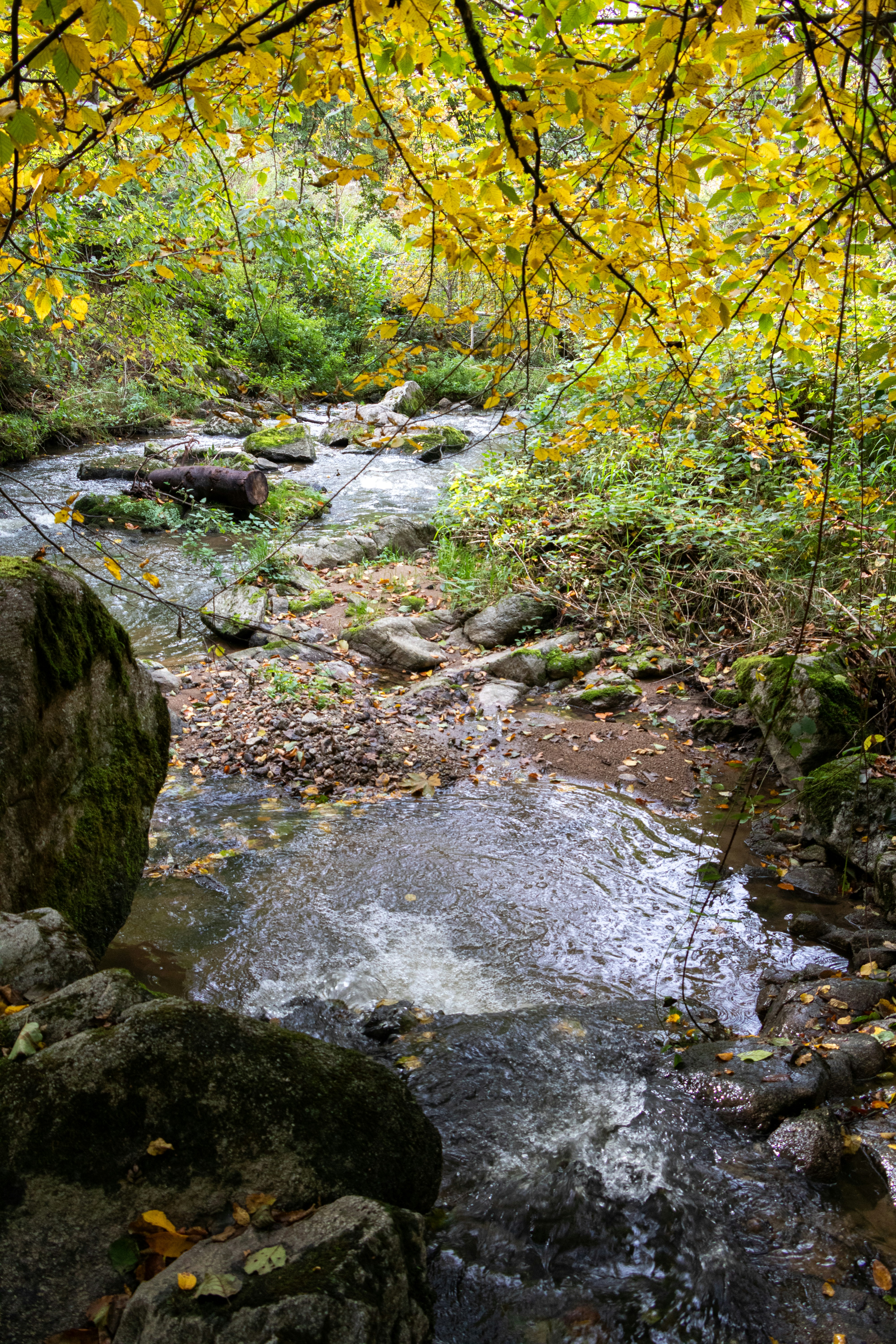 Photo by magictravel