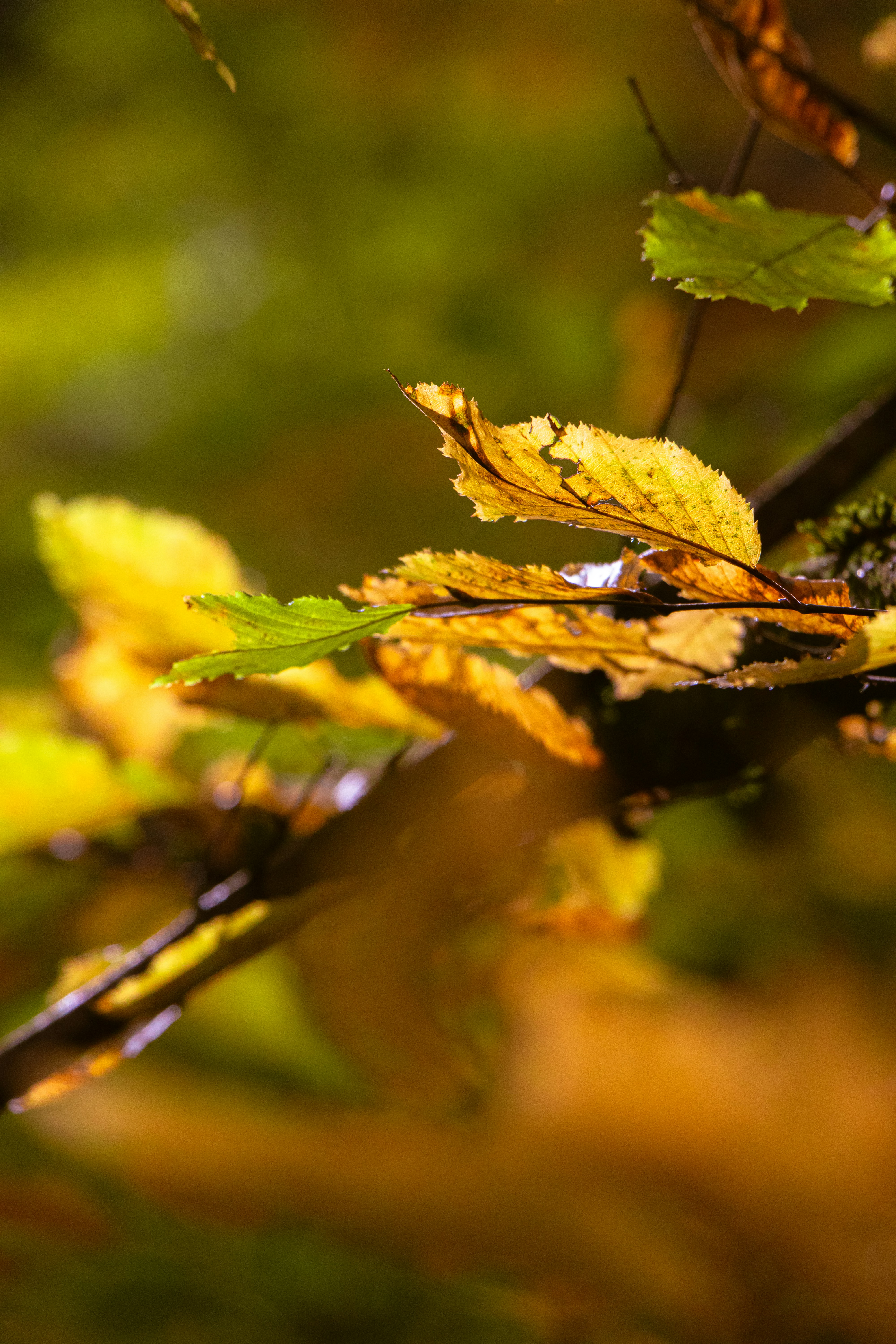 Photo by magictravel