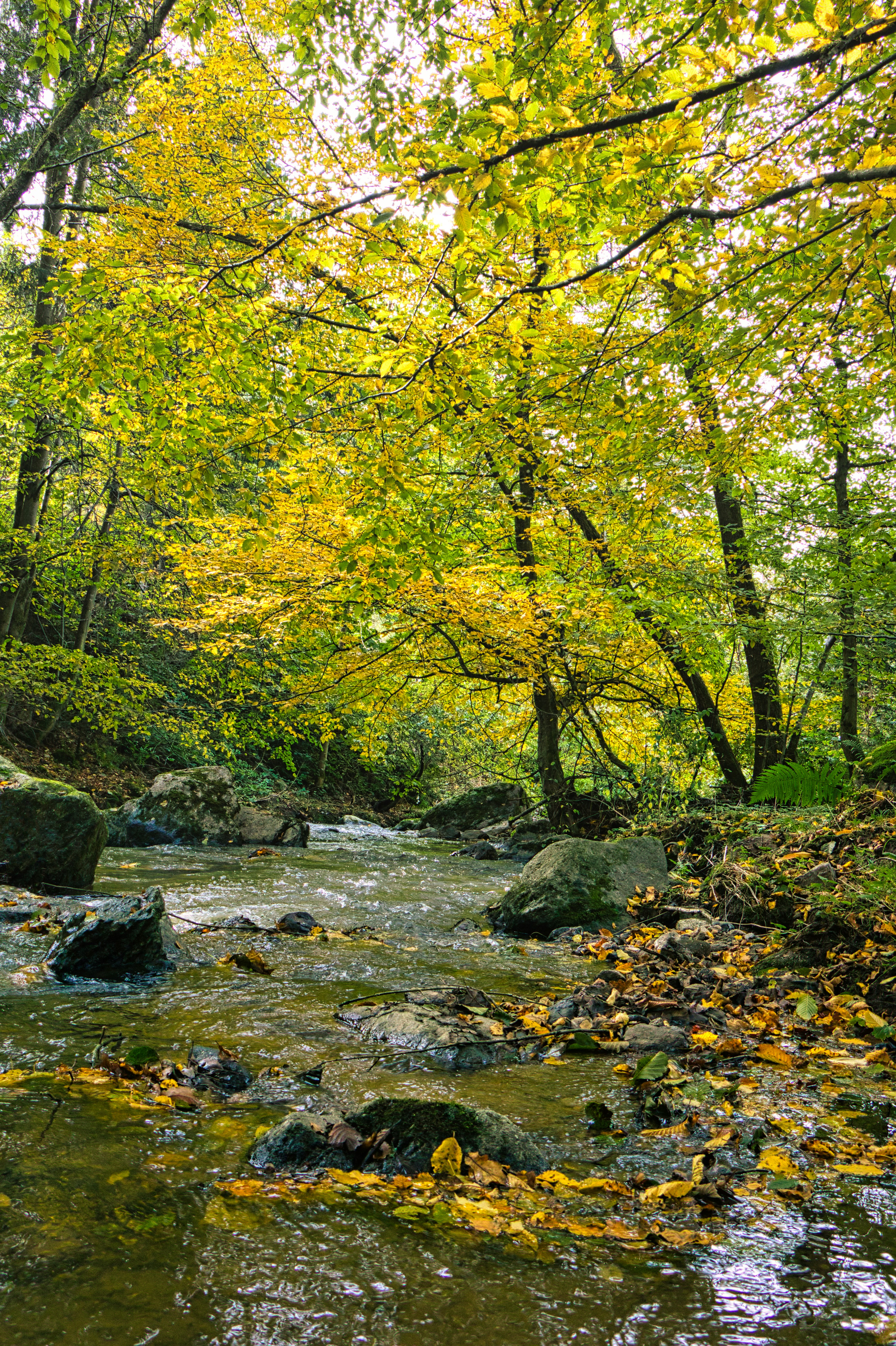 Photo by magictravel